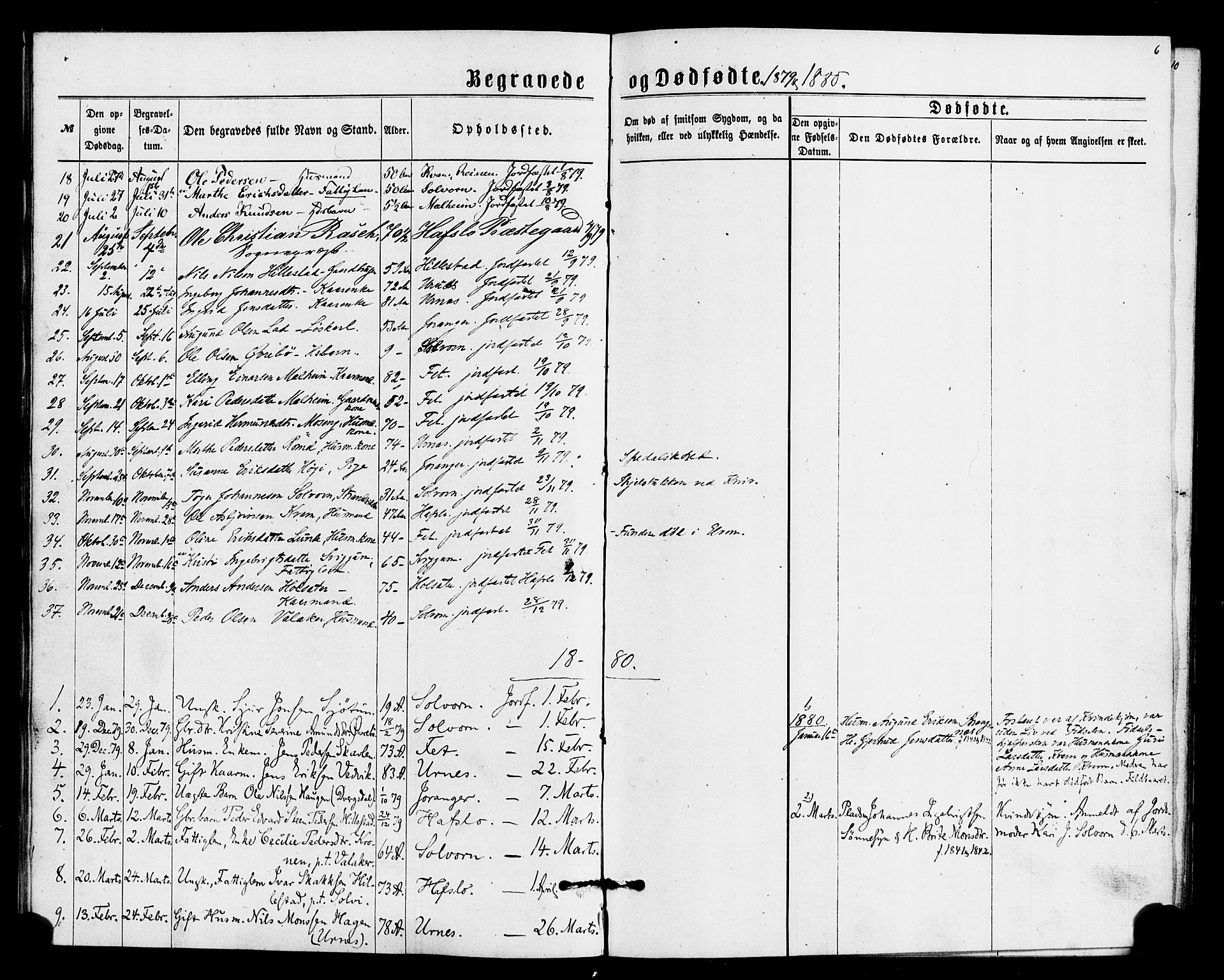 Hafslo sokneprestembete, AV/SAB-A-80301/H/Haa/Haaa/L0014: Parish register (official) no. A 14, 1877-1886, p. 6
