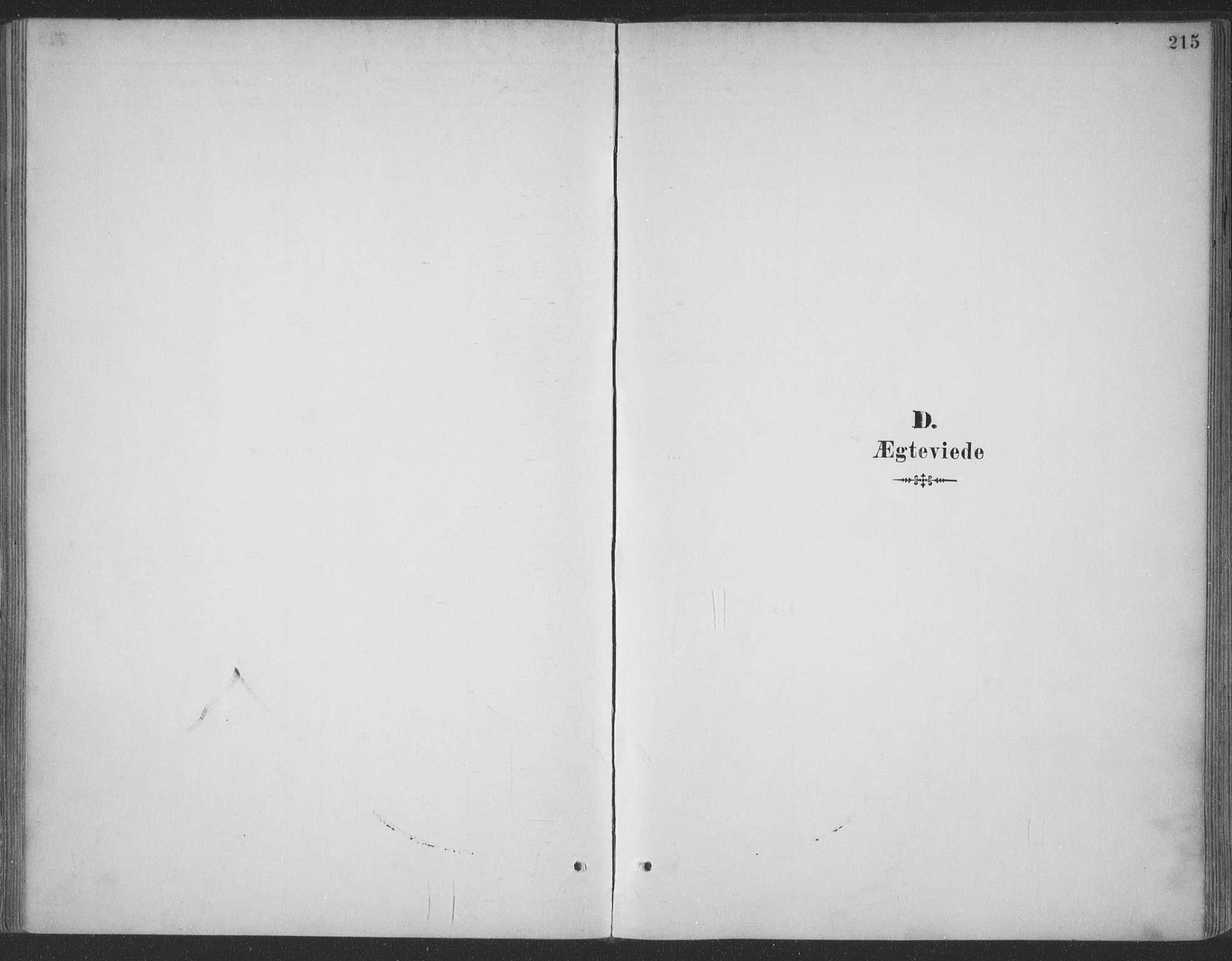Ministerialprotokoller, klokkerbøker og fødselsregistre - Møre og Romsdal, SAT/A-1454/511/L0142: Parish register (official) no. 511A09, 1891-1905, p. 215