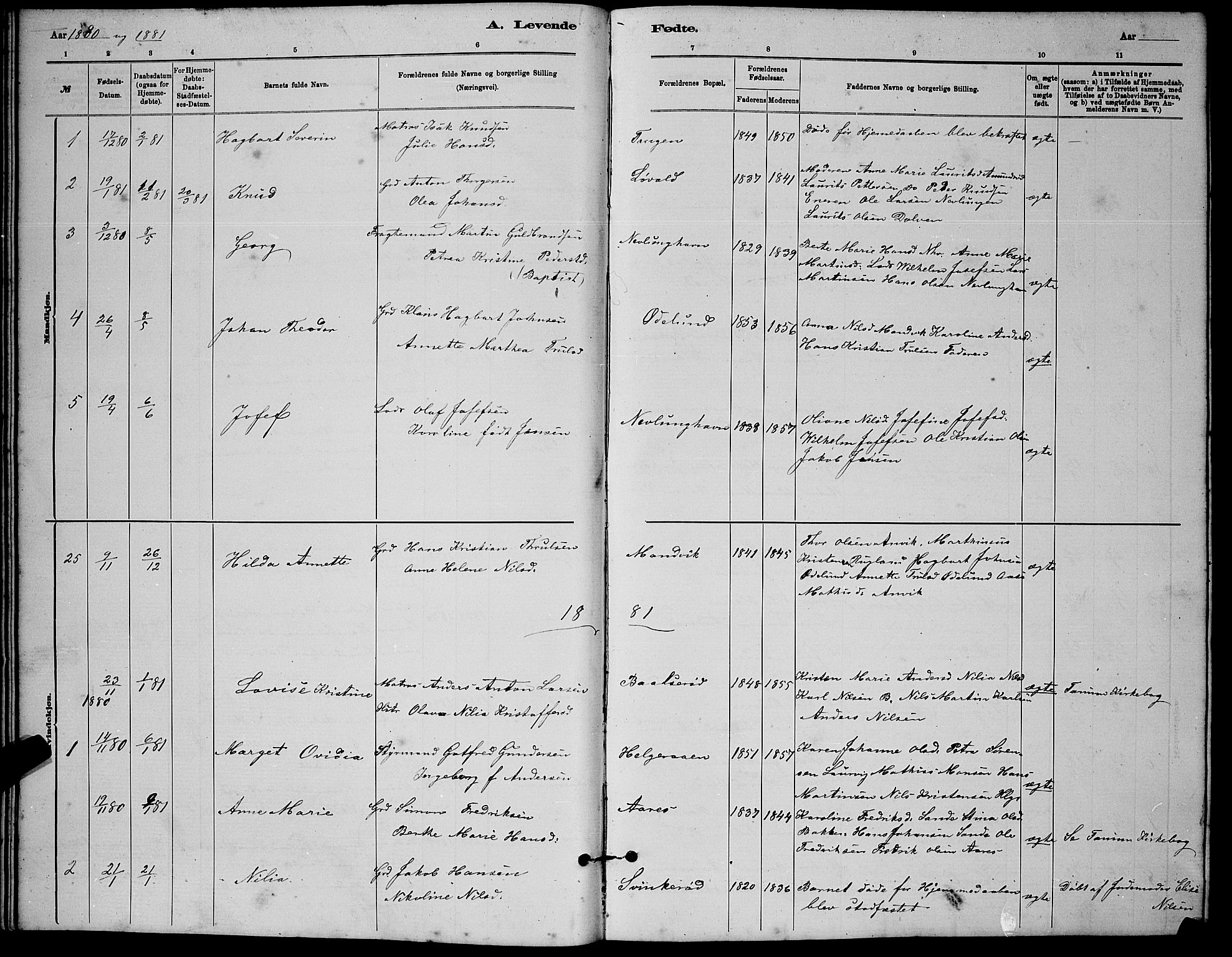 Brunlanes kirkebøker, AV/SAKO-A-342/G/Gb/L0002: Parish register (copy) no. II 2, 1878-1902