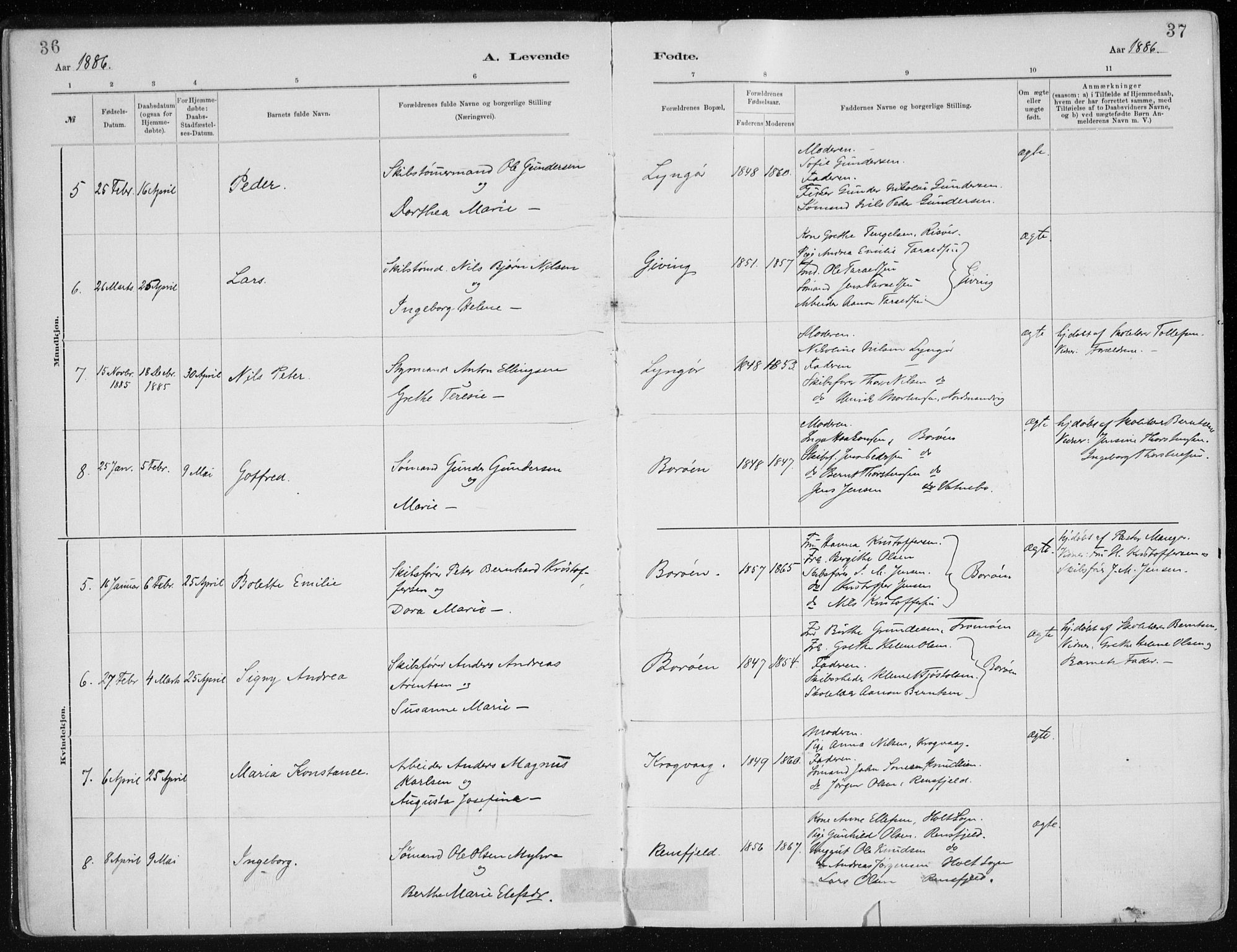 Dypvåg sokneprestkontor, AV/SAK-1111-0007/F/Fa/Faa/L0008: Parish register (official) no. A 8, 1885-1906, p. 36-37