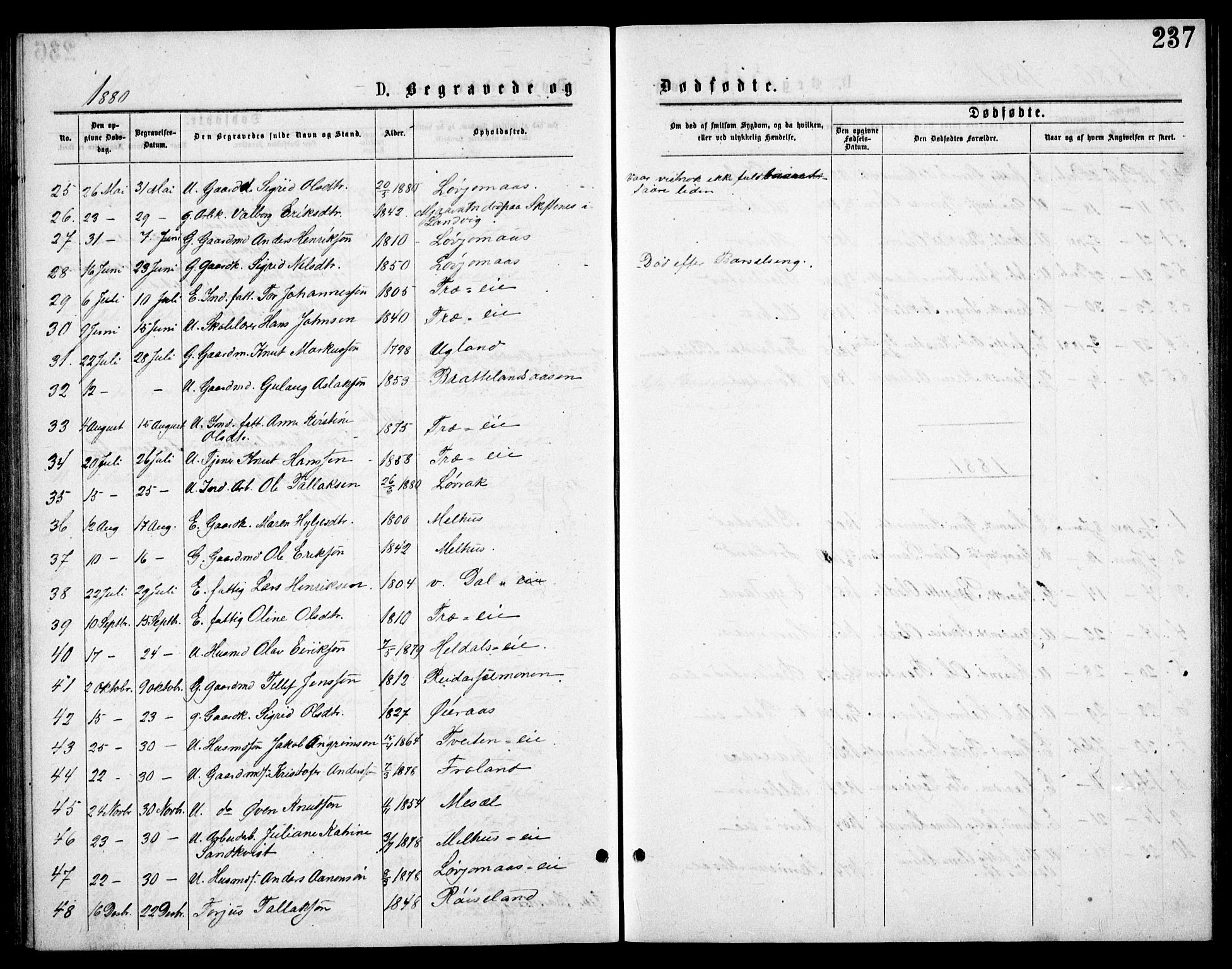 Froland sokneprestkontor, AV/SAK-1111-0013/F/Fb/L0009: Parish register (copy) no. B 9, 1875-1893, p. 237