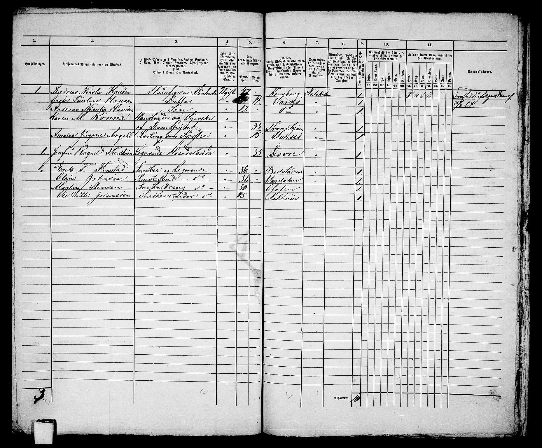 RA, 1865 census for Vardø/Vardø, 1865, p. 175