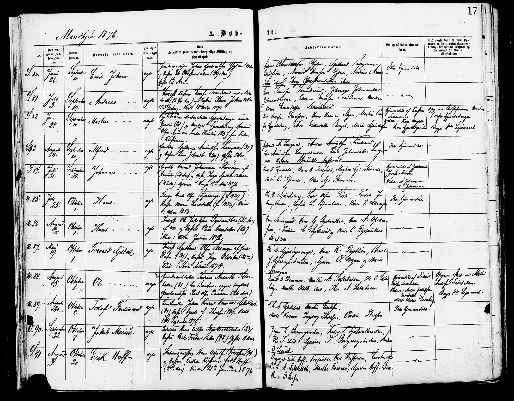 Sør-Odal prestekontor, AV/SAH-PREST-030/H/Ha/Haa/L0005: Parish register (official) no. 5, 1876-1885, p. 17