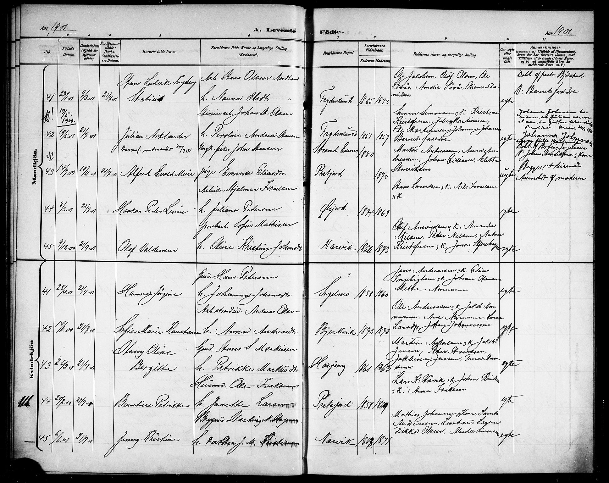 Ministerialprotokoller, klokkerbøker og fødselsregistre - Nordland, AV/SAT-A-1459/866/L0953: Parish register (copy) no. 866C02, 1900-1905