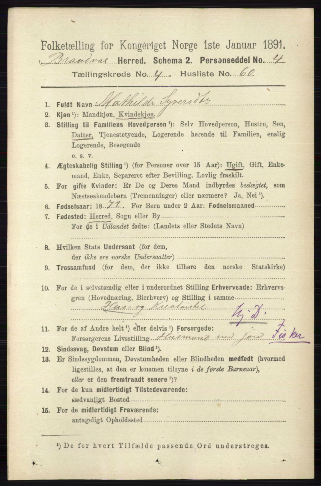 RA, 1891 census for 0422 Brandval, 1891, p. 2100