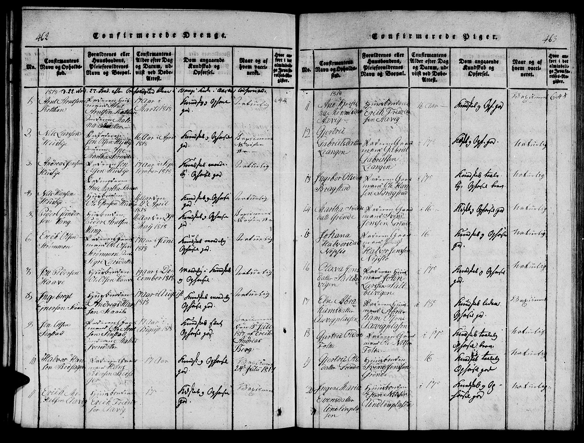 Ministerialprotokoller, klokkerbøker og fødselsregistre - Nord-Trøndelag, SAT/A-1458/714/L0132: Parish register (copy) no. 714C01, 1817-1824, p. 462-463