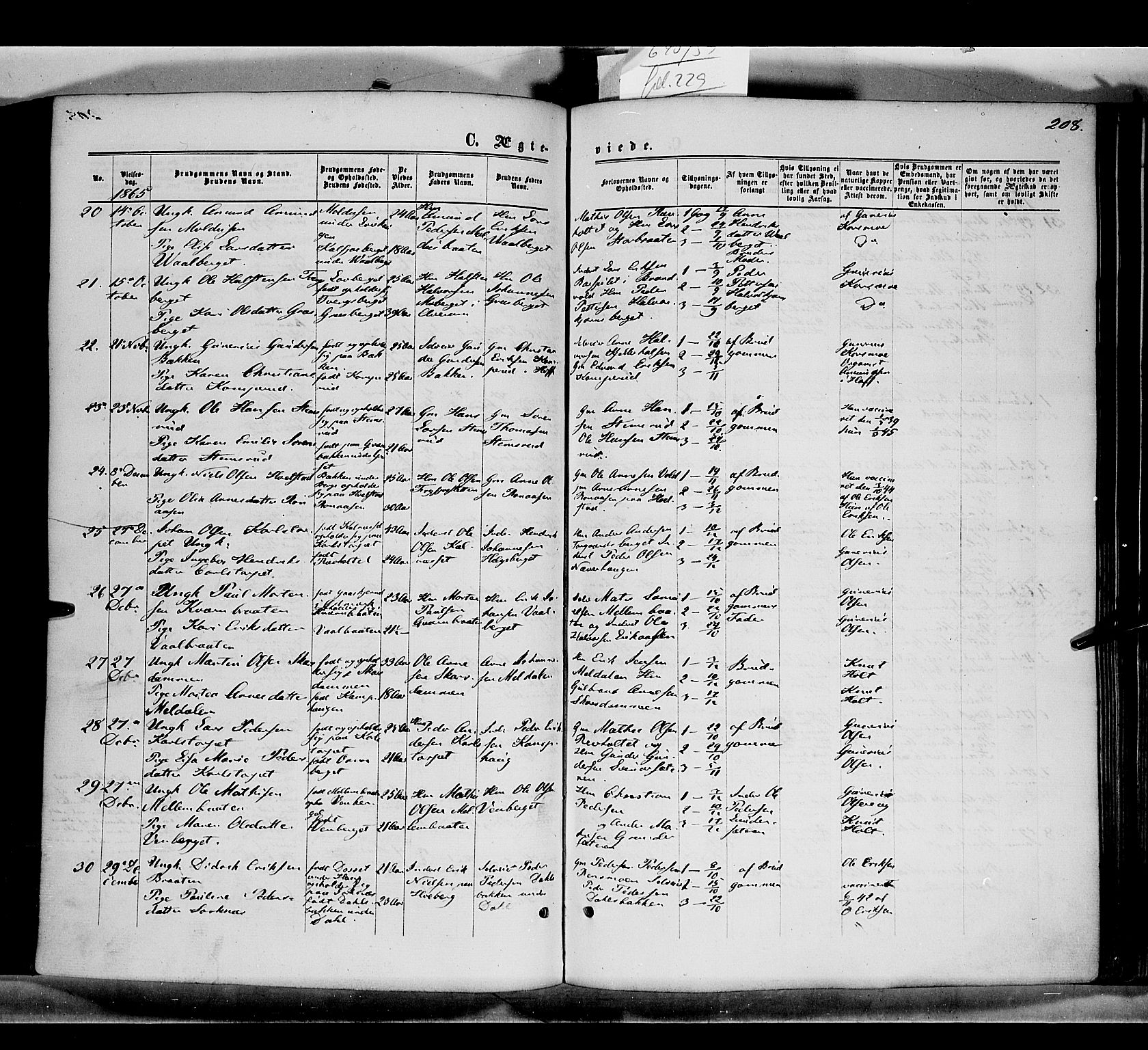 Grue prestekontor, AV/SAH-PREST-036/H/Ha/Haa/L0010: Parish register (official) no. 10, 1864-1873, p. 208