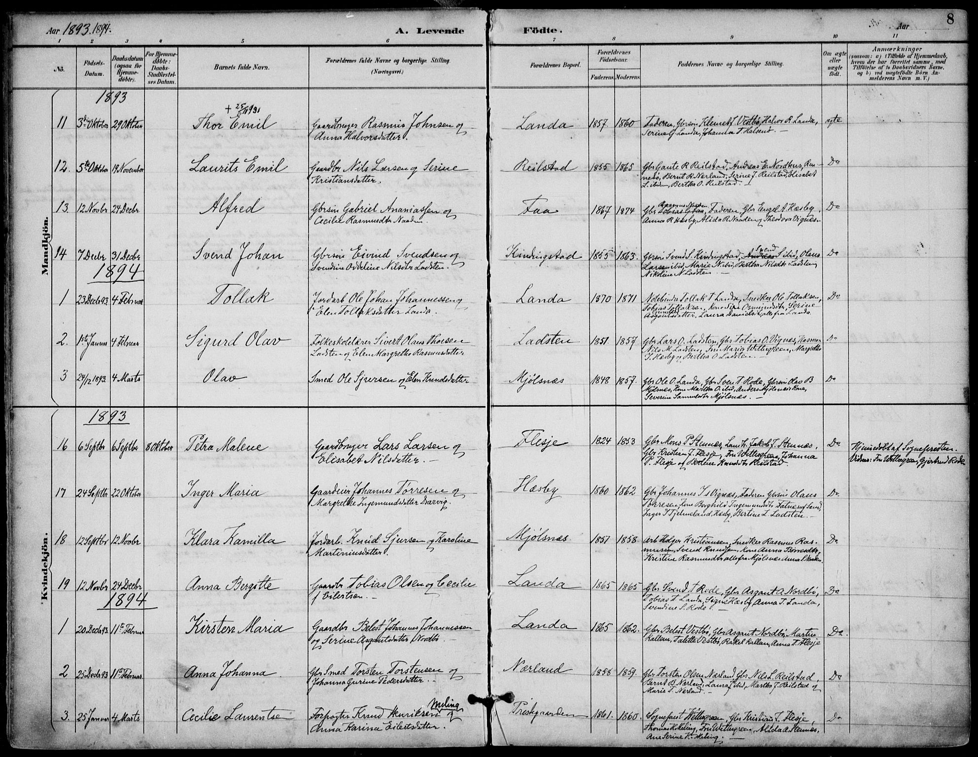 Finnøy sokneprestkontor, SAST/A-101825/H/Ha/Haa/L0011: Parish register (official) no. A 11, 1891-1910, p. 8