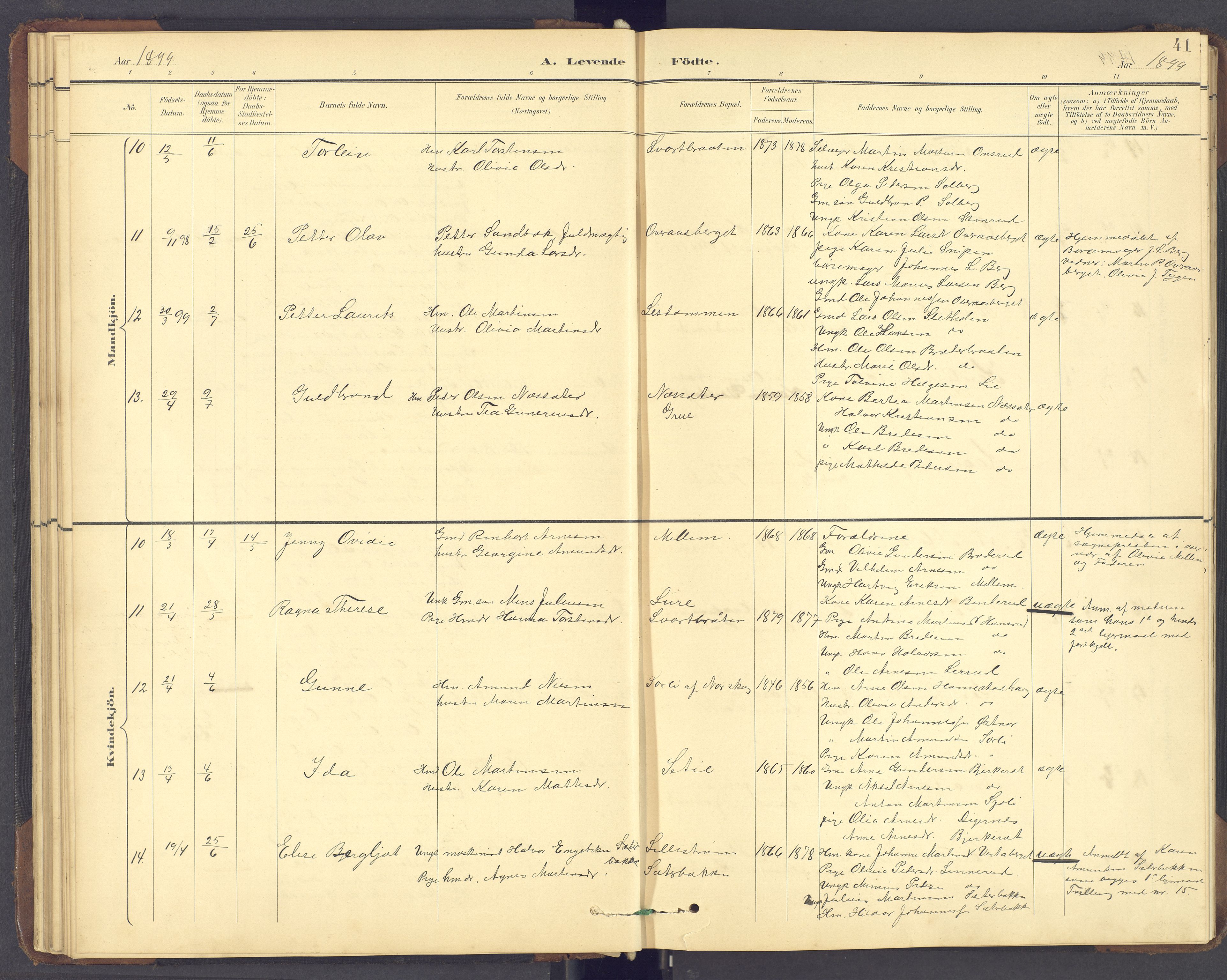 Brandval prestekontor, SAH/PREST-034/H/Ha/Hab/L0002: Parish register (copy) no. 2, 1895-1904, p. 41