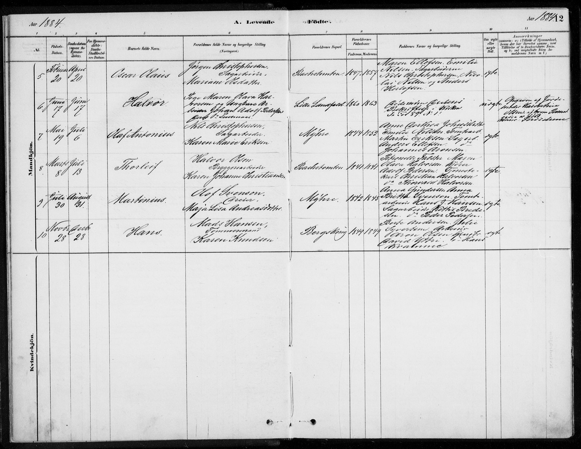 Åssiden kirkebøker, AV/SAKO-A-251/F/Fa/L0001: Parish register (official) no. 1, 1878-1904, p. 12