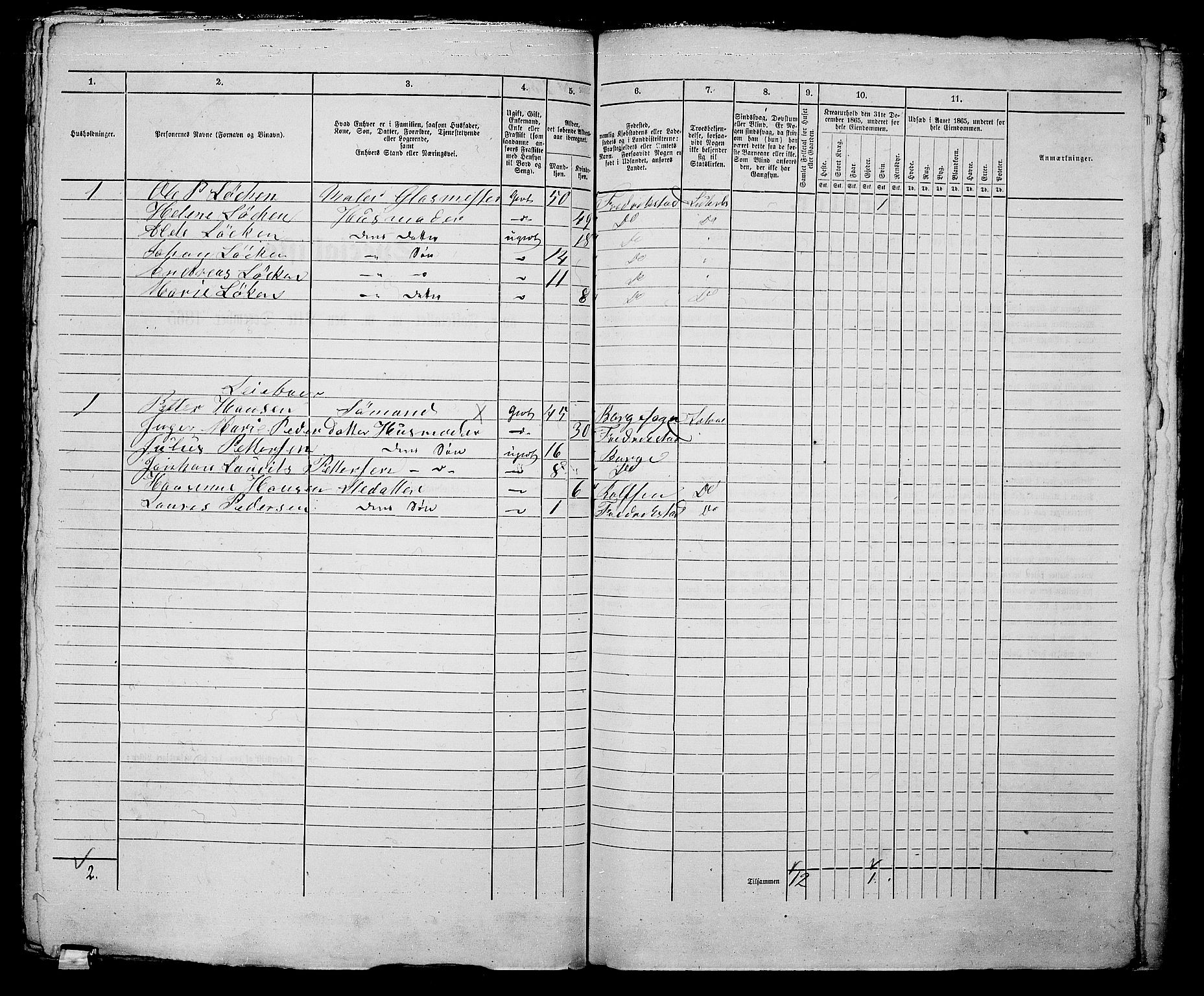 RA, 1865 census for Fredrikstad/Fredrikstad, 1865, p. 629