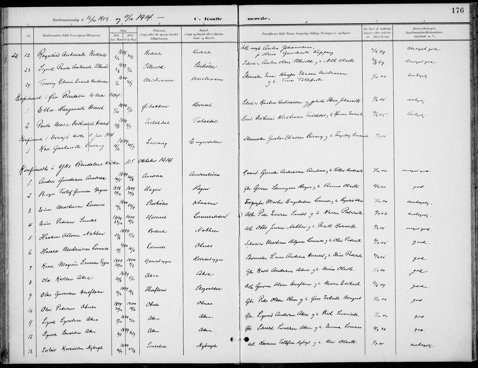 Rendalen prestekontor, SAH/PREST-054/H/Ha/Haa/L0011: Parish register (official) no. 11, 1901-1925, p. 176