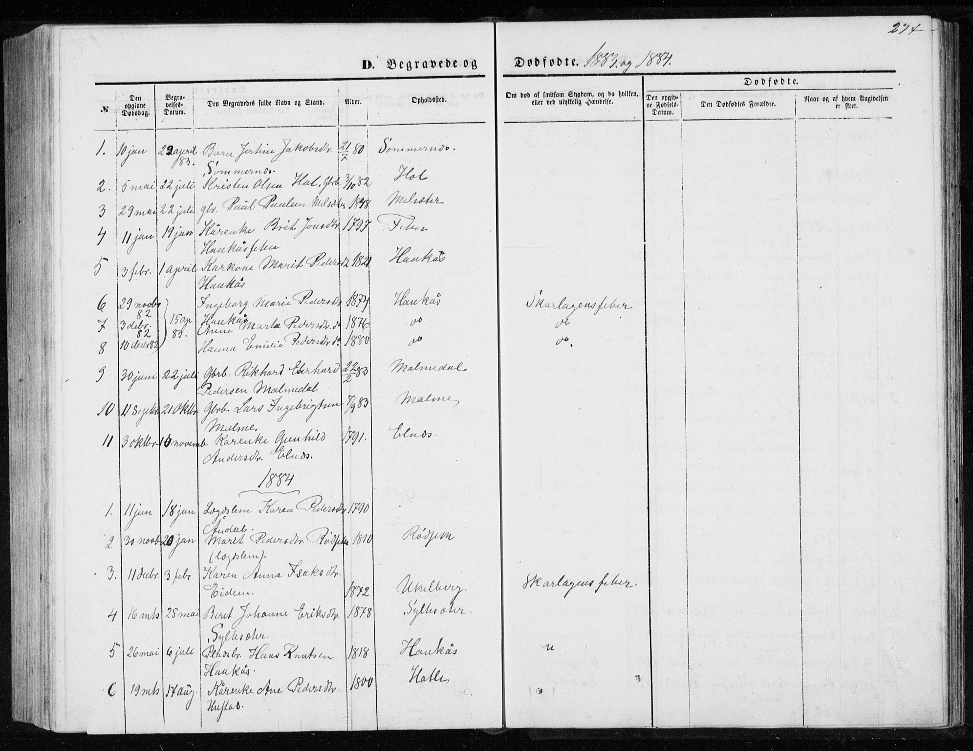 Ministerialprotokoller, klokkerbøker og fødselsregistre - Møre og Romsdal, AV/SAT-A-1454/565/L0754: Parish register (copy) no. 565C03, 1870-1896, p. 274