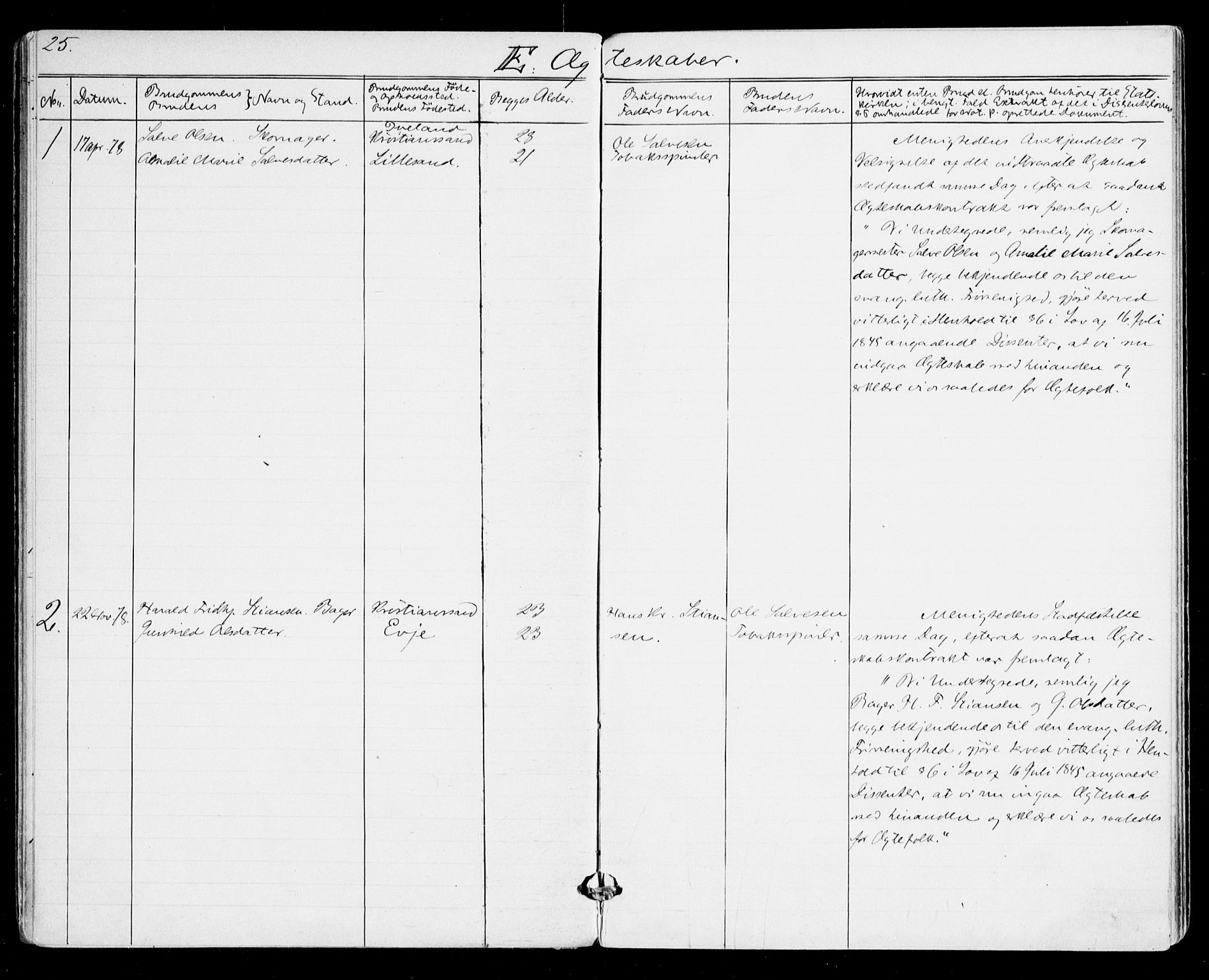 Den evangelisk-lutherske frikirke, Kristiansand, AV/SAK-1292-0017/F/Fa/L0001: Dissenter register no. F 9, 1877-1888, p. 25