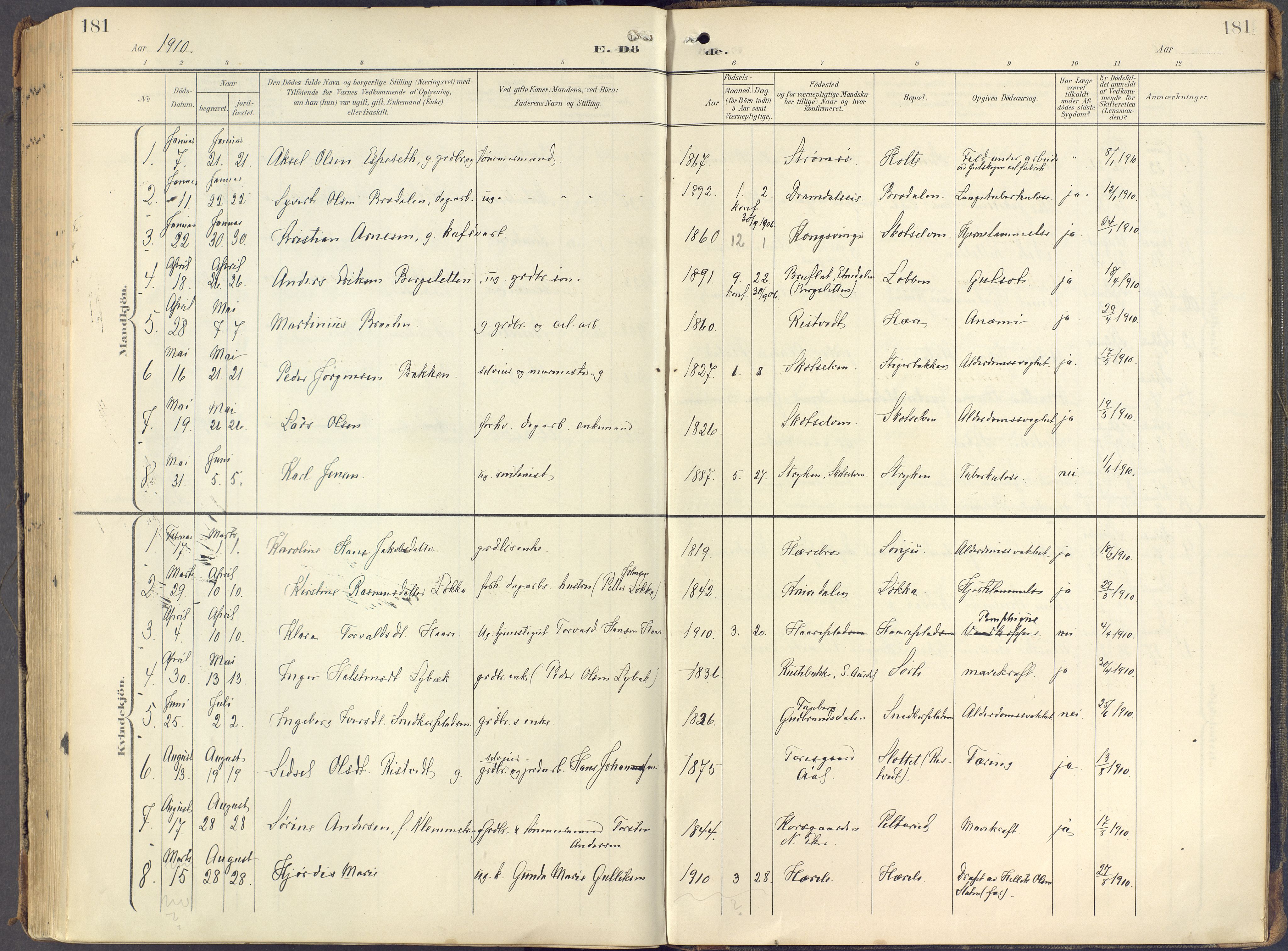 Eiker kirkebøker, AV/SAKO-A-4/F/Fc/L0004: Parish register (official) no. III 4, 1900-1919, p. 181