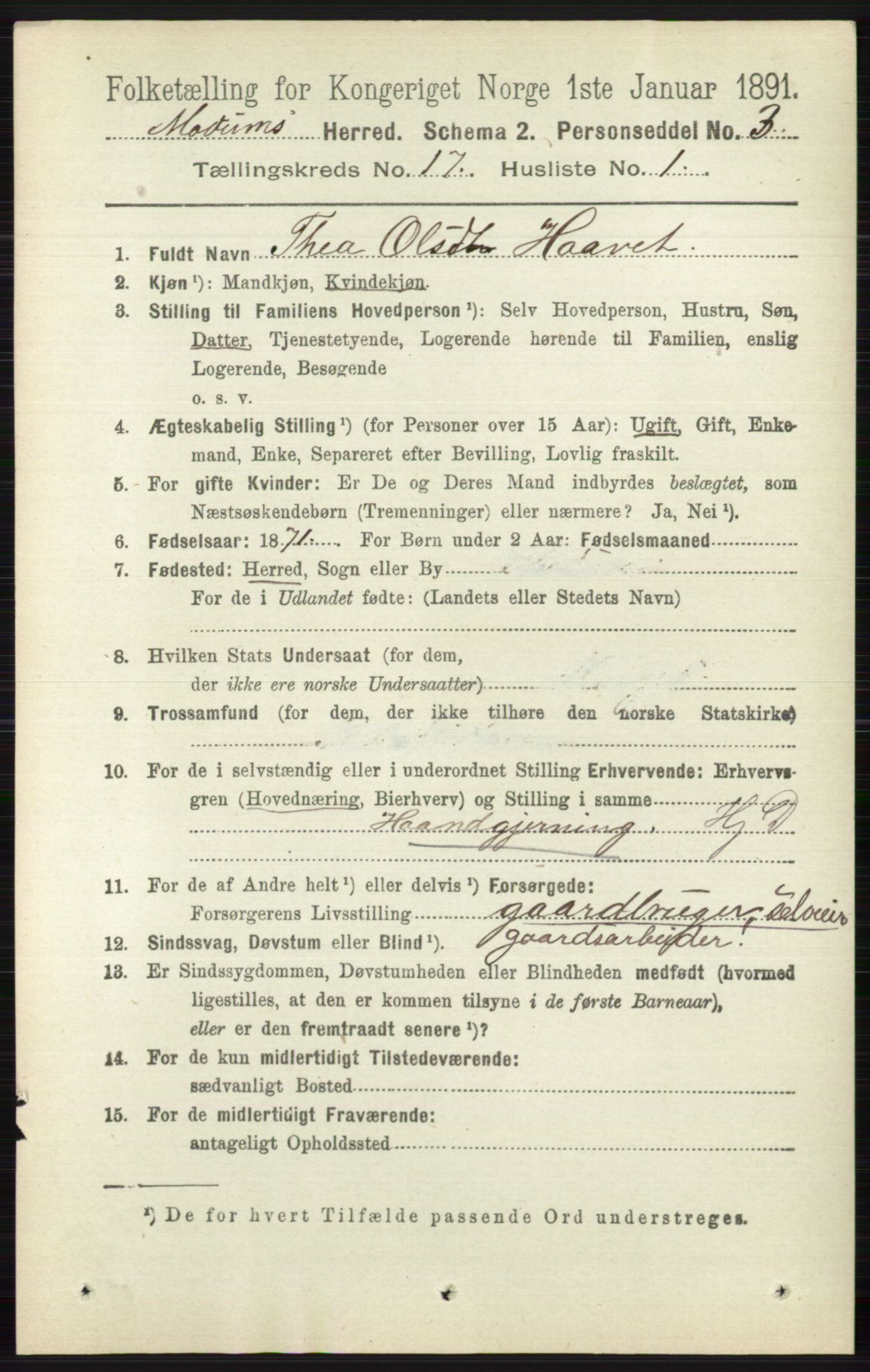 RA, 1891 census for 0623 Modum, 1891, p. 6635