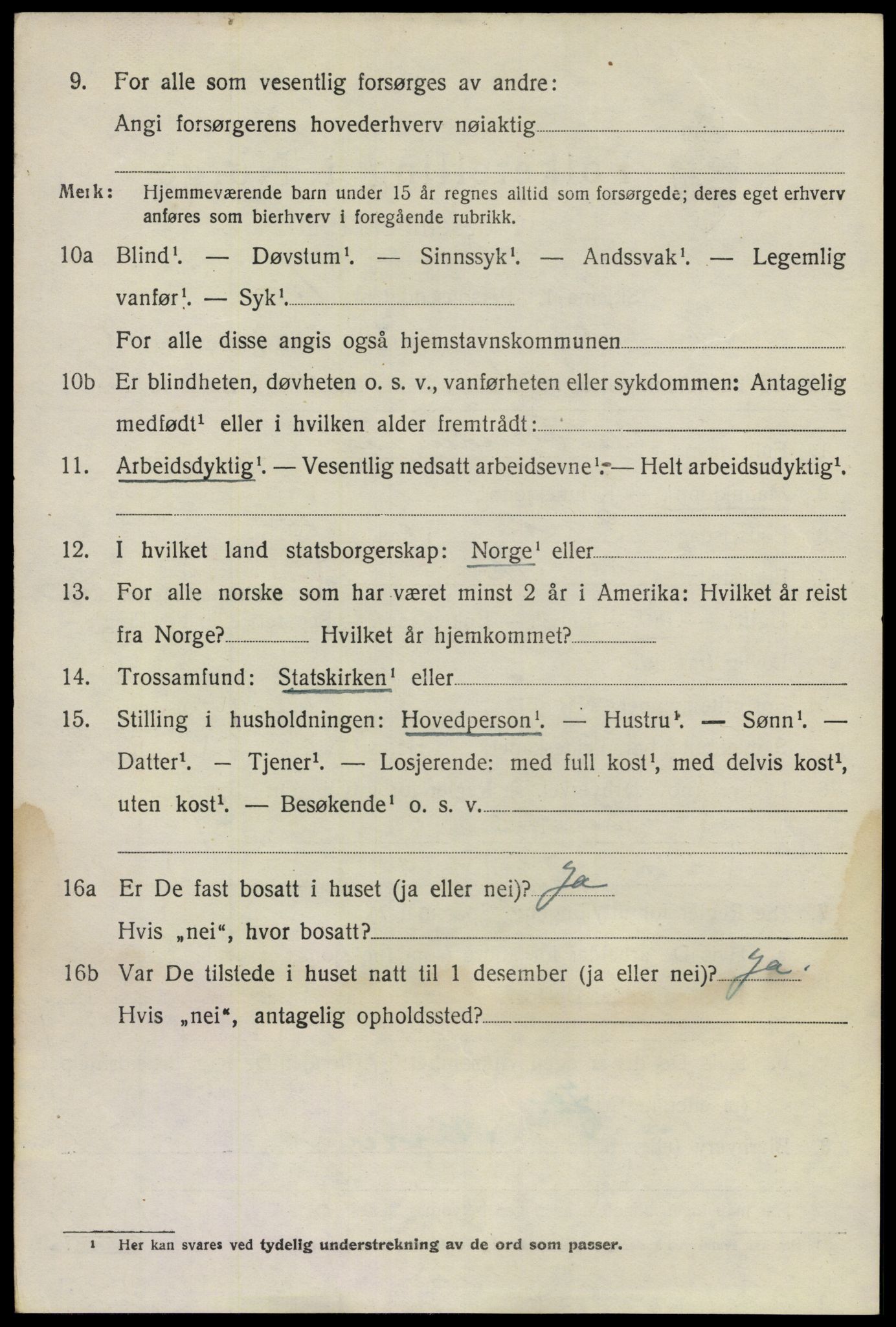 SAO, 1920 census for Nes, 1920, p. 9919