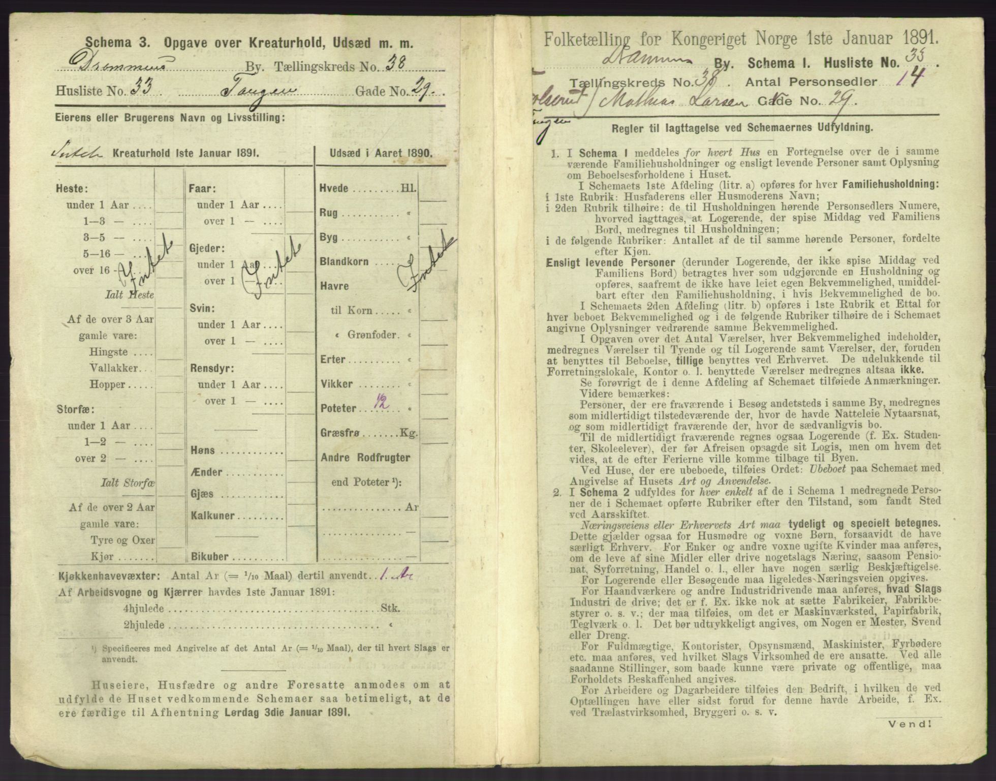 RA, 1891 census for 0602 Drammen, 1891, p. 3475