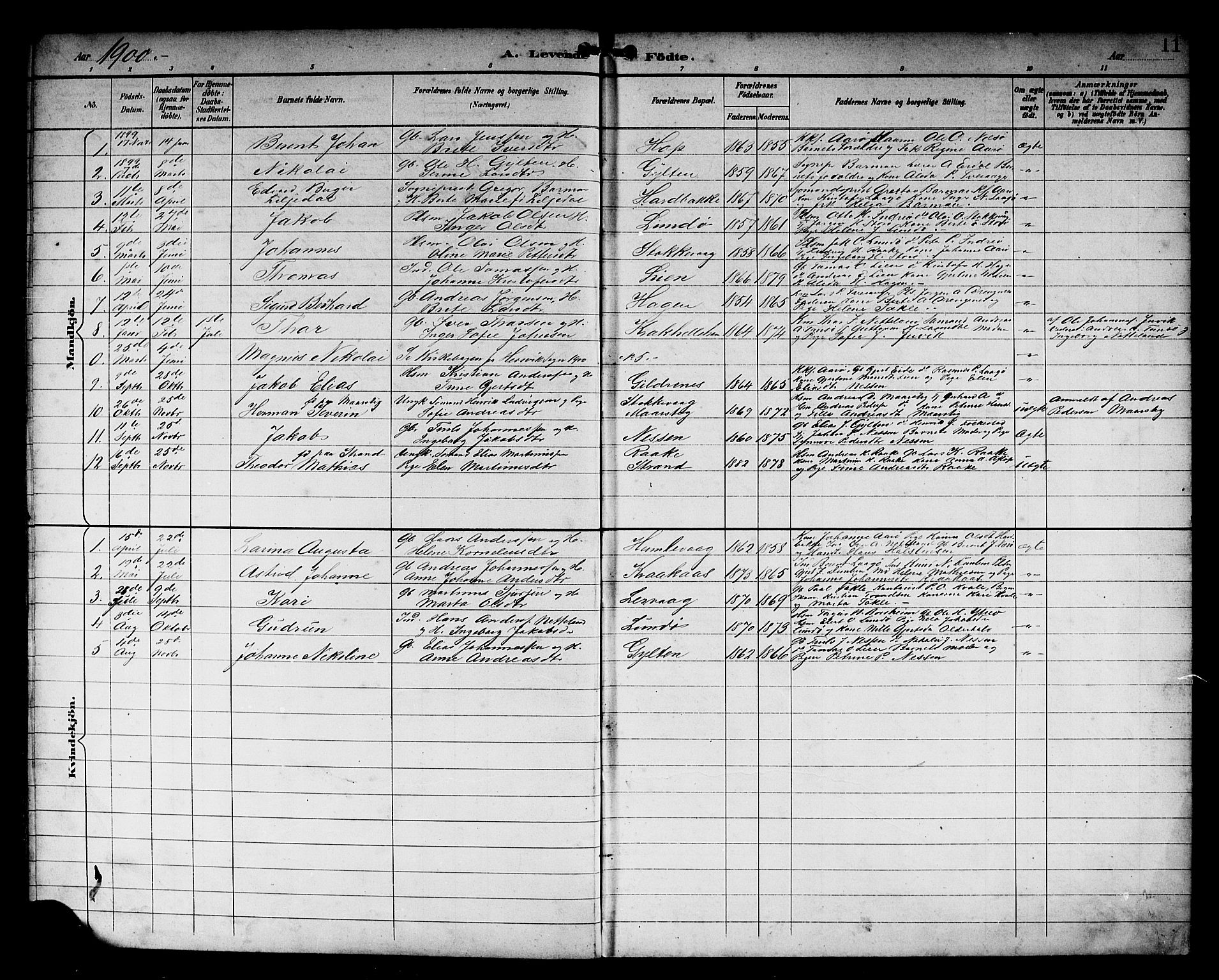 Solund sokneprestembete, SAB/A-81401: Parish register (copy) no. A 2, 1893-1921, p. 11
