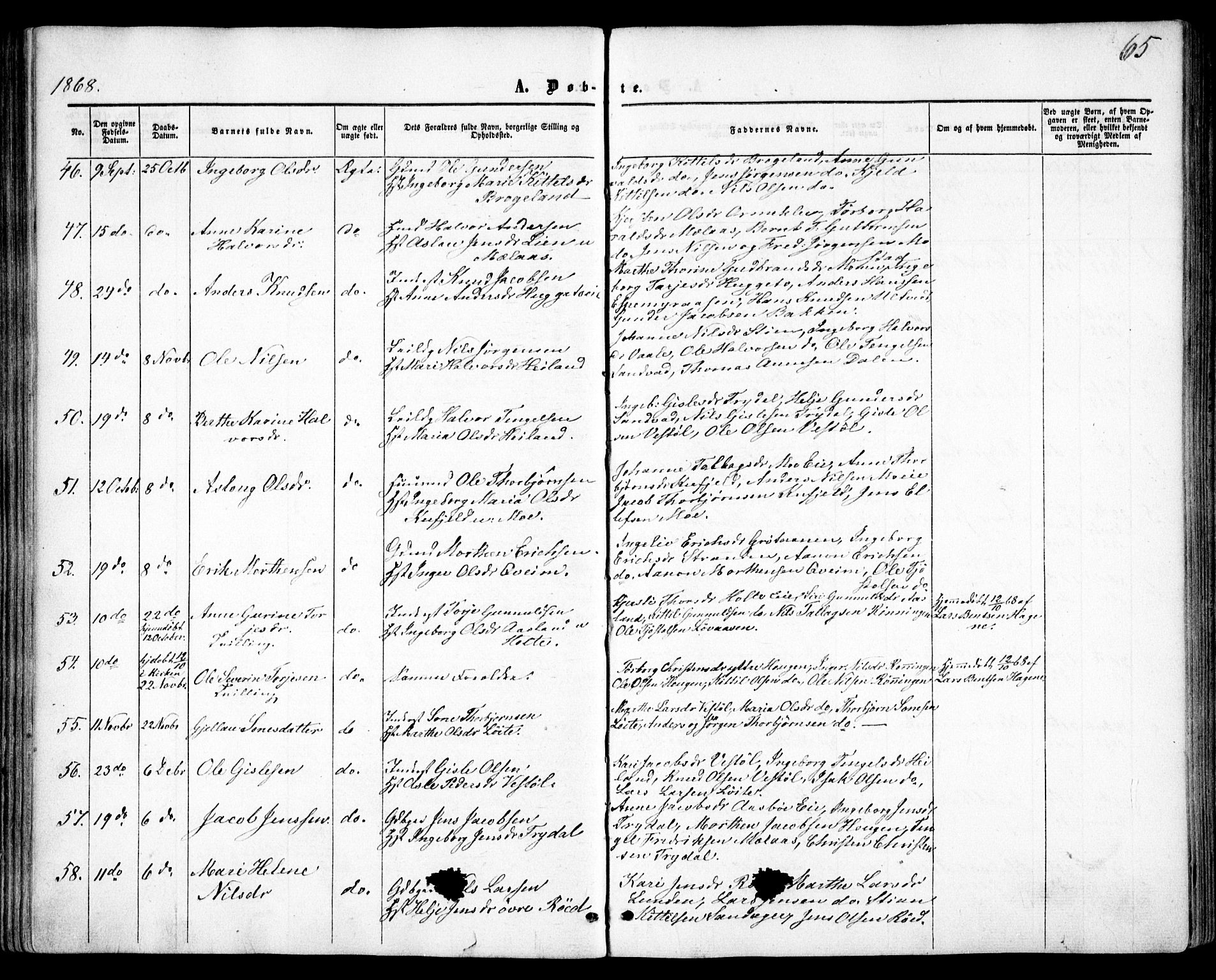 Gjerstad sokneprestkontor, AV/SAK-1111-0014/F/Fa/Faa/L0007: Parish register (official) no. A 7, 1858-1875, p. 65