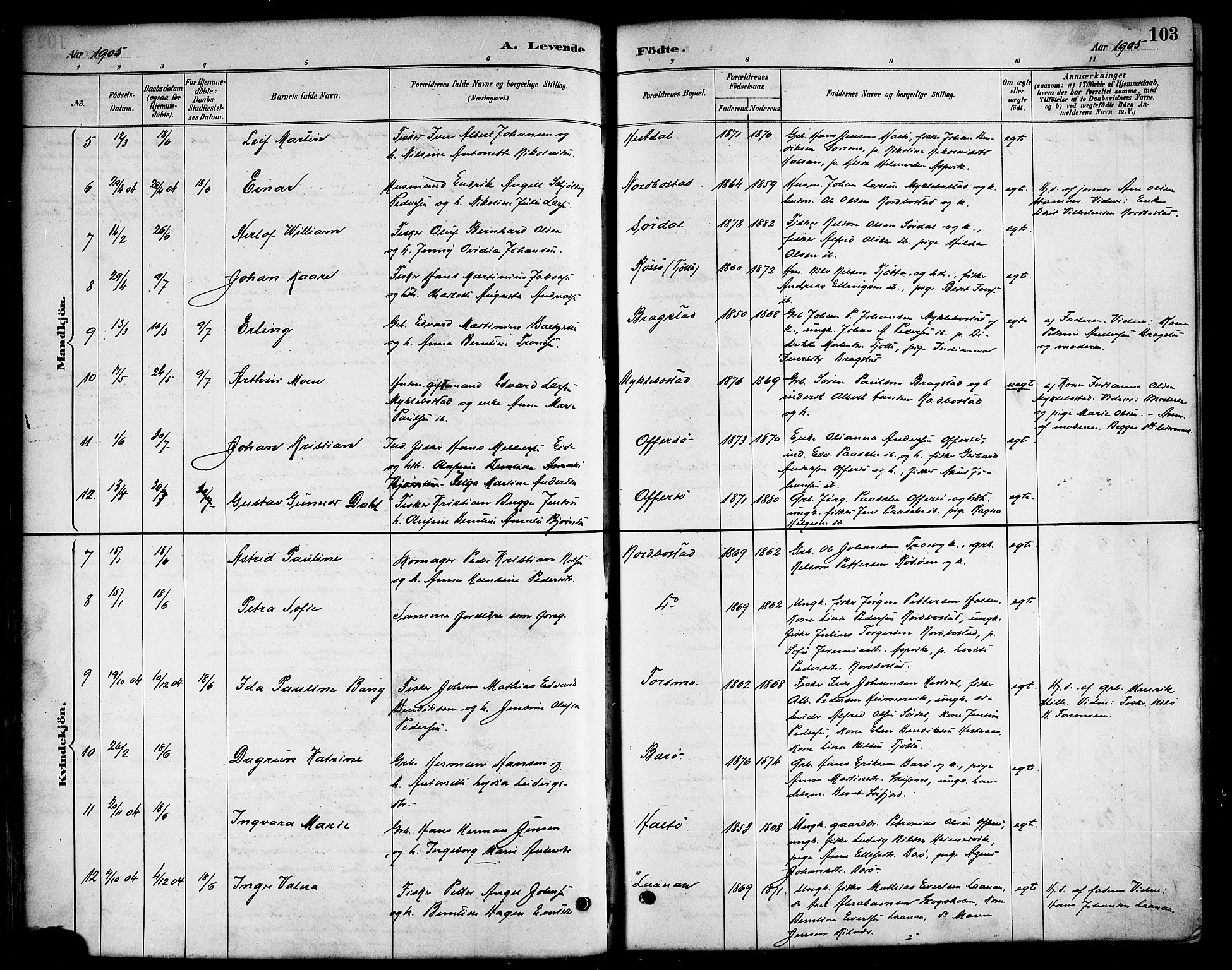 Ministerialprotokoller, klokkerbøker og fødselsregistre - Nordland, SAT/A-1459/817/L0268: Parish register (copy) no. 817C03, 1884-1920, p. 103