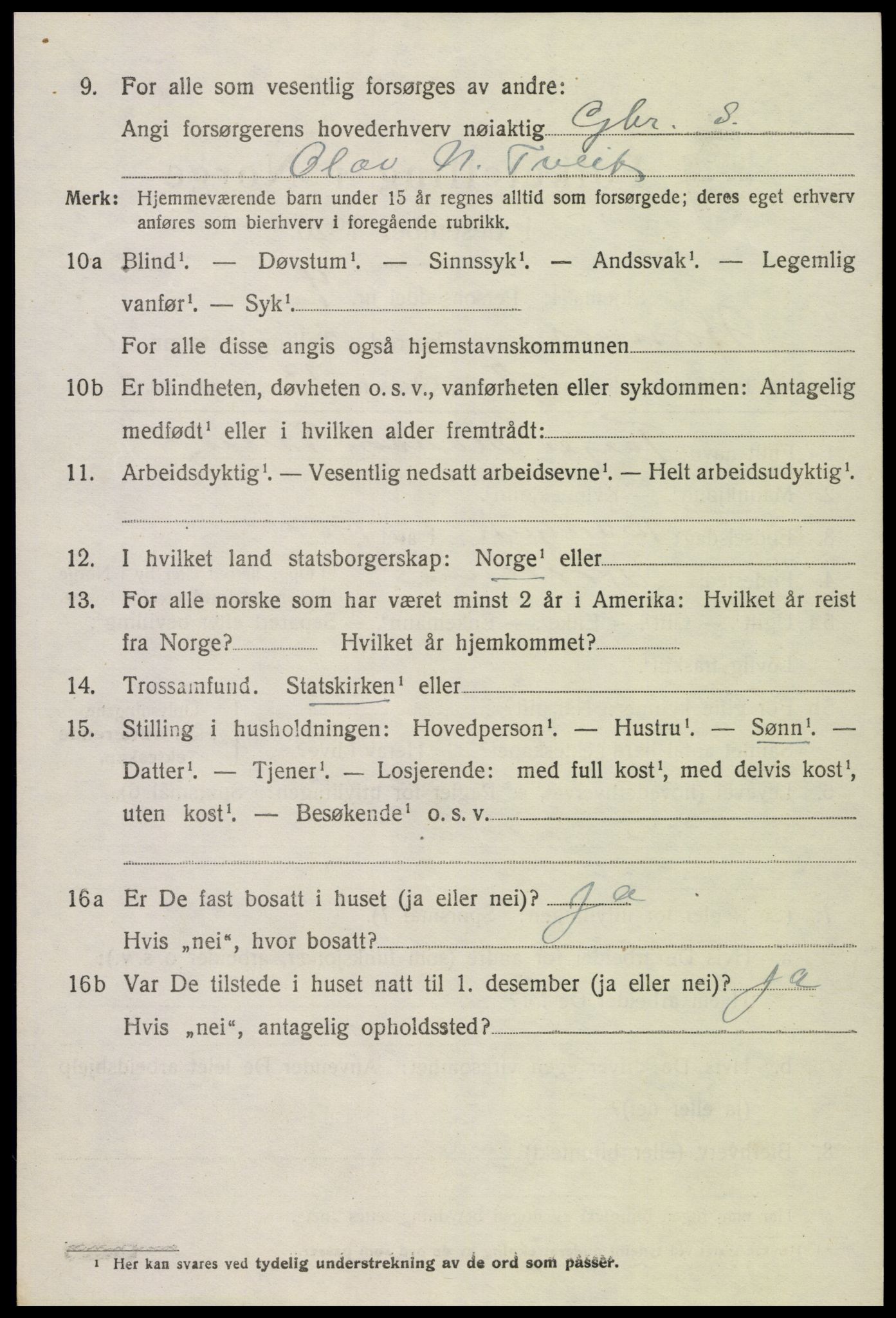 SAK, 1920 census for Hornnes, 1920, p. 2208