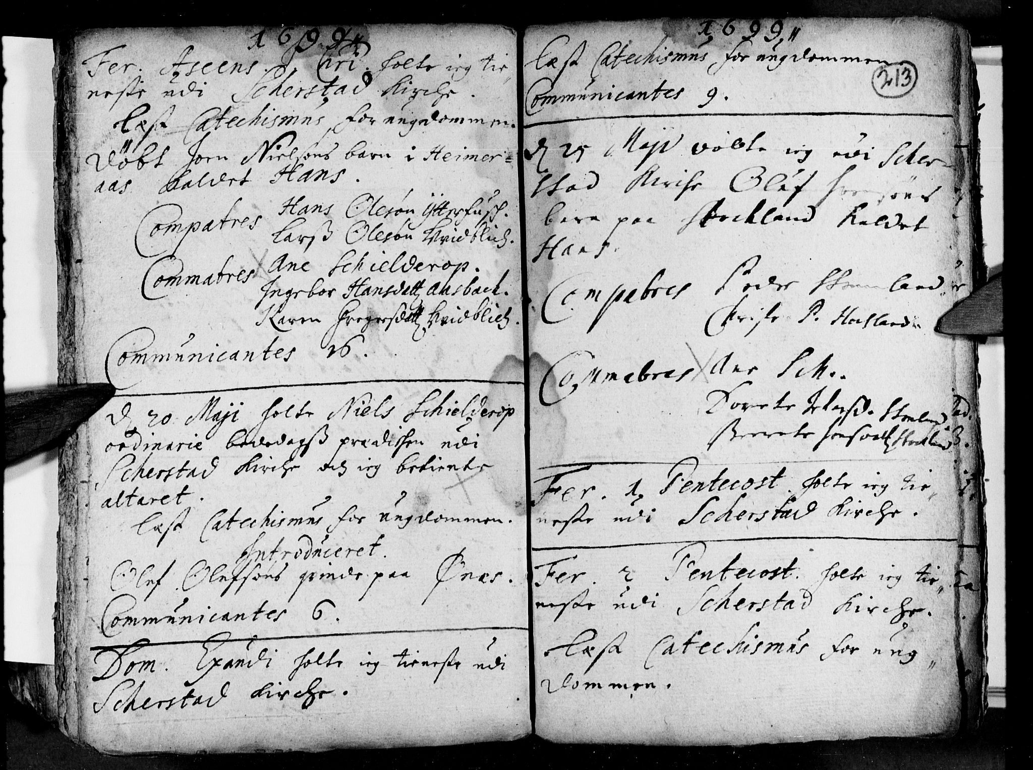 Ministerialprotokoller, klokkerbøker og fødselsregistre - Nordland, AV/SAT-A-1459/852/L0732: Parish register (official) no. 852A02, 1690-1699, p. 213