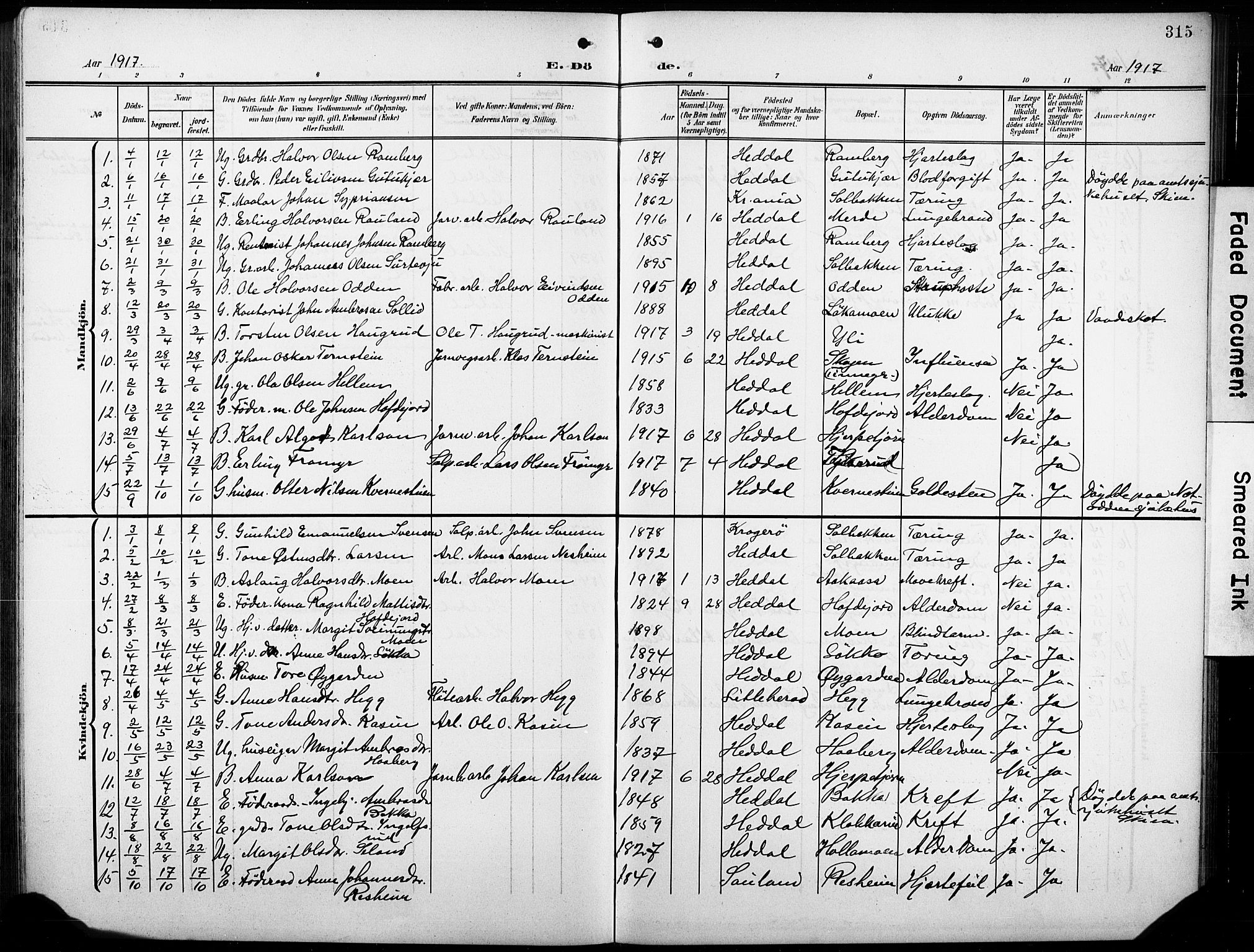 Heddal kirkebøker, AV/SAKO-A-268/G/Ga/L0003: Parish register (copy) no. I 3, 1908-1932, p. 315