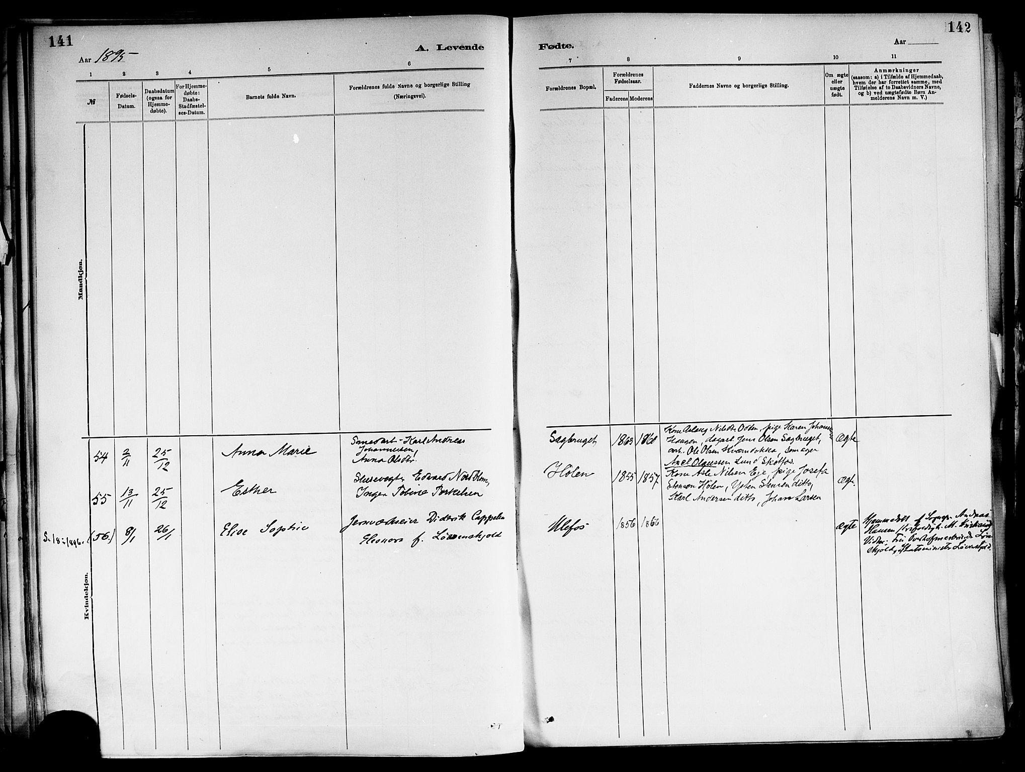 Holla kirkebøker, SAKO/A-272/F/Fa/L0008: Parish register (official) no. 8, 1882-1897, p. 141