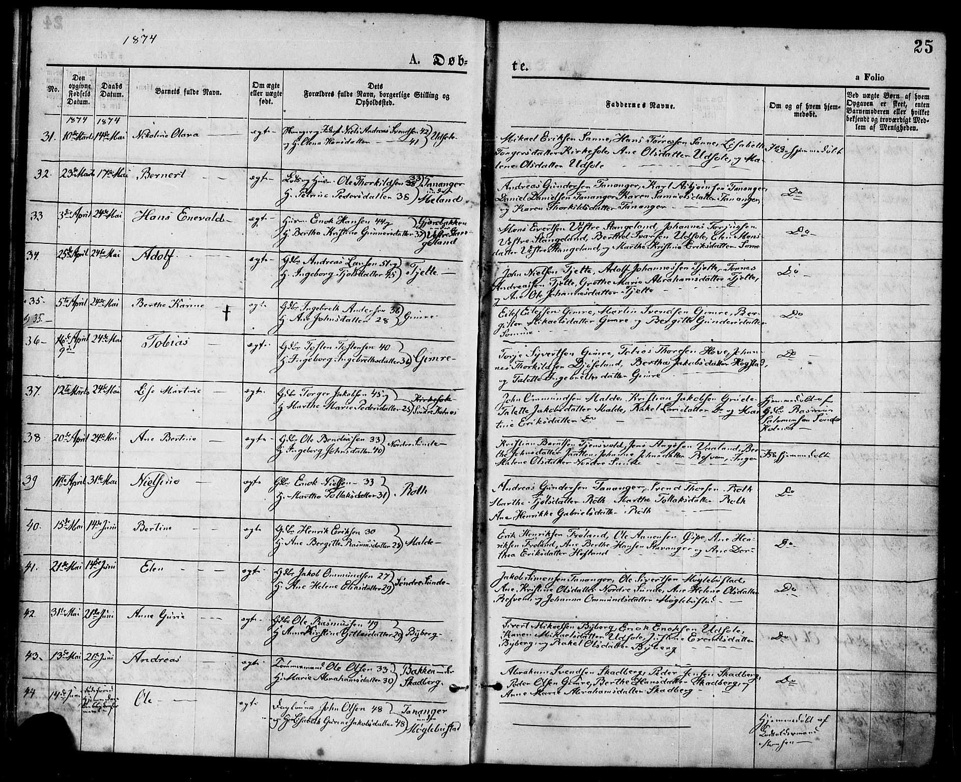 Håland sokneprestkontor, AV/SAST-A-101802/001/30BA/L0009: Parish register (official) no. A 8, 1871-1882, p. 25