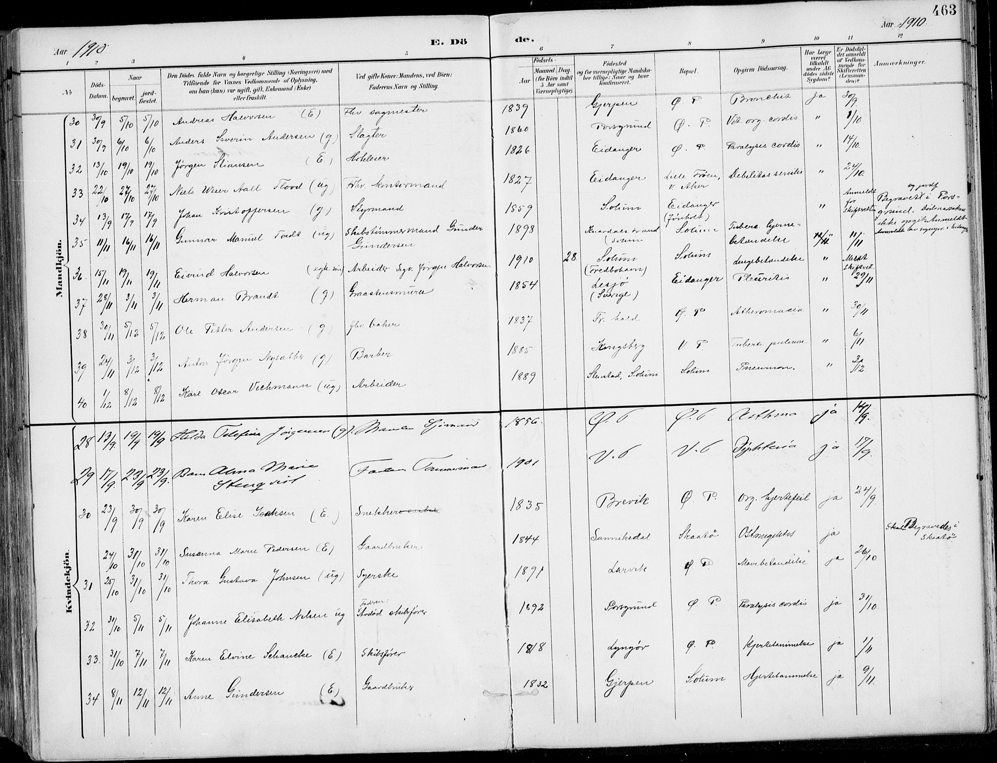 Porsgrunn kirkebøker , SAKO/A-104/F/Fa/L0011: Parish register (official) no. 11, 1895-1919, p. 463