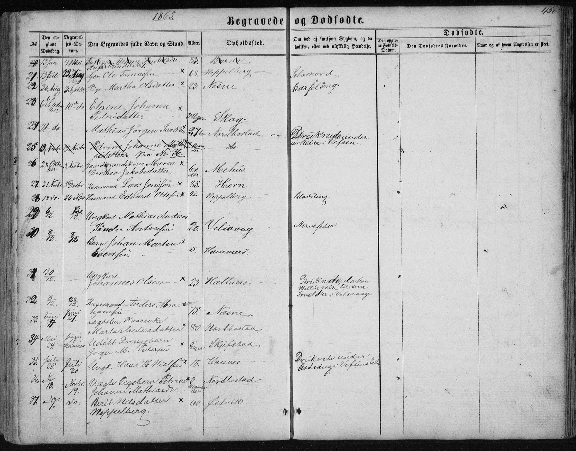 Ministerialprotokoller, klokkerbøker og fødselsregistre - Nordland, AV/SAT-A-1459/838/L0556: Parish register (copy) no. 838C03, 1861-1893, p. 458