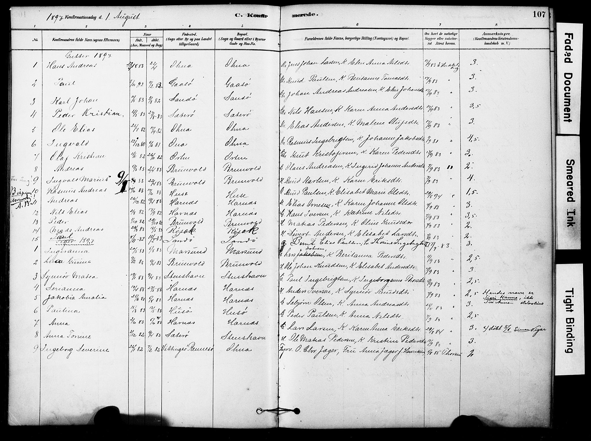 Ministerialprotokoller, klokkerbøker og fødselsregistre - Møre og Romsdal, AV/SAT-A-1454/561/L0729: Parish register (official) no. 561A03, 1878-1900, p. 107