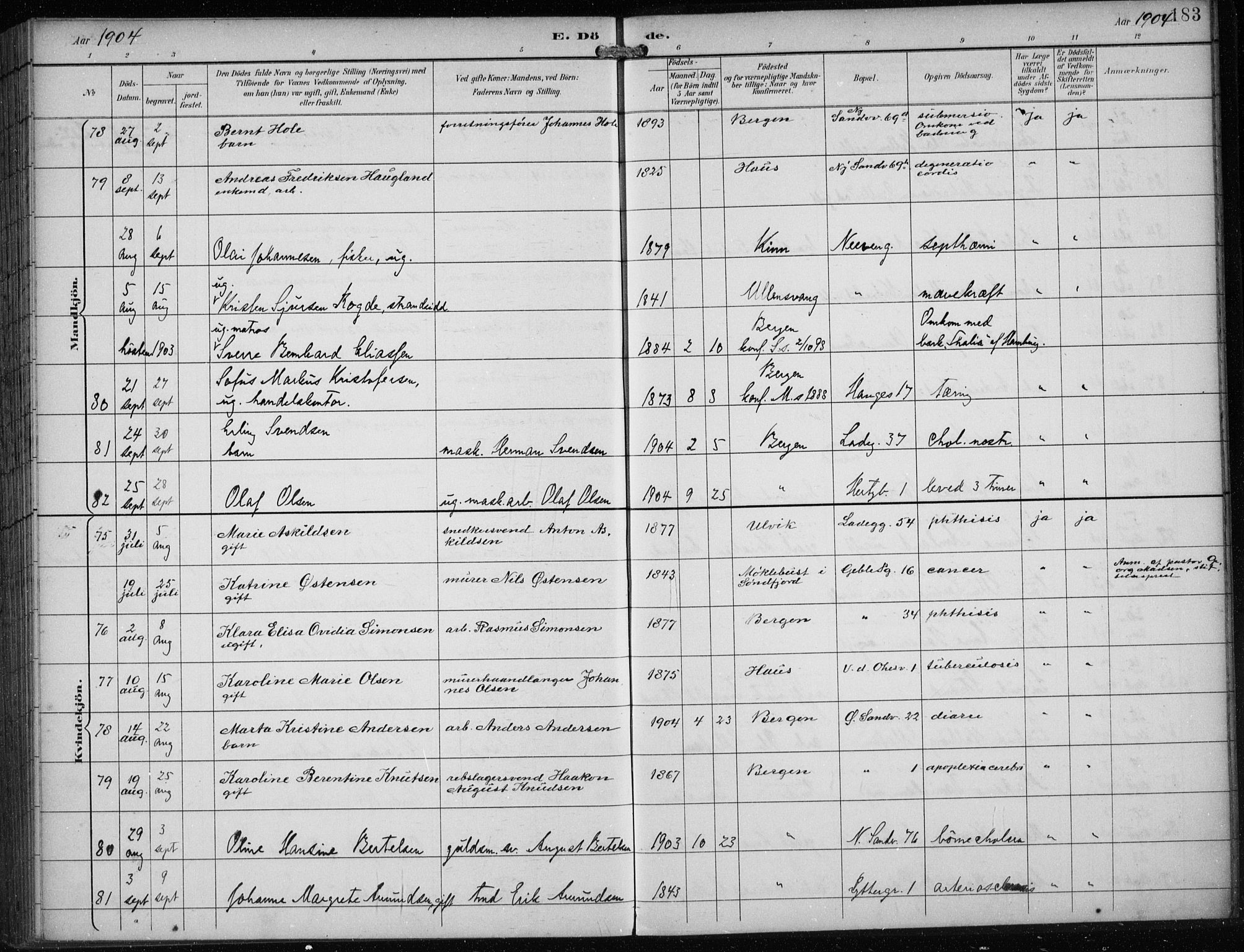 Sandviken Sokneprestembete, AV/SAB-A-77601/H/Ha/L0018: Parish register (official) no. E 1, 1893-1905, p. 183