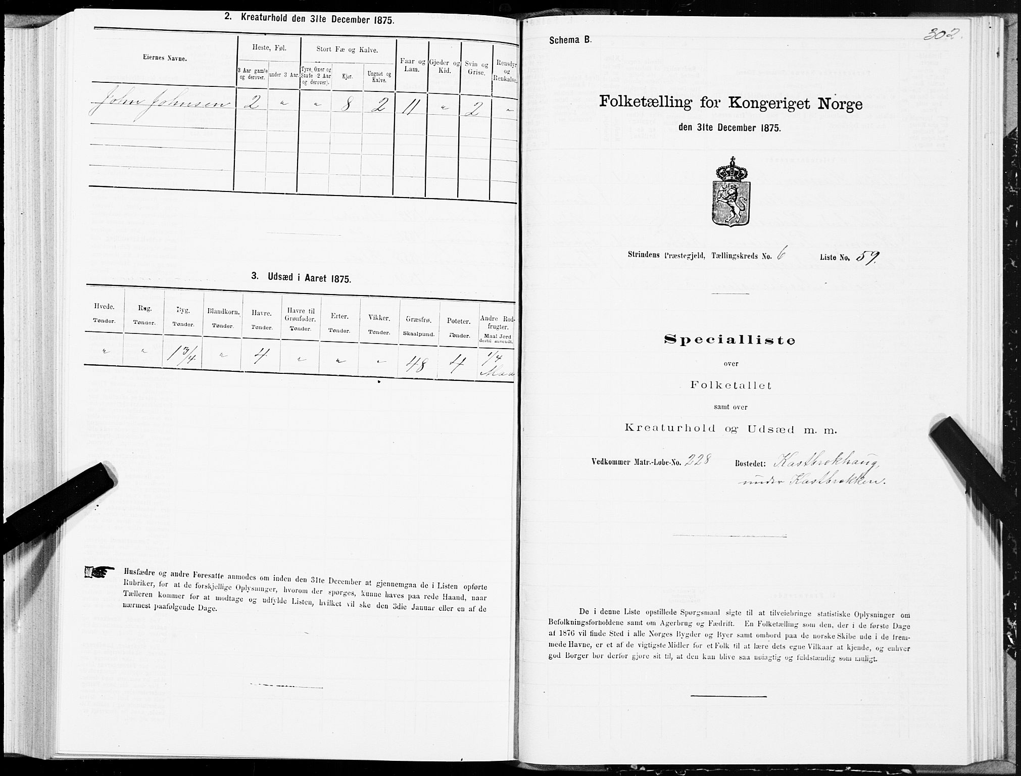 SAT, 1875 census for 1660P Strinda, 1875, p. 3302