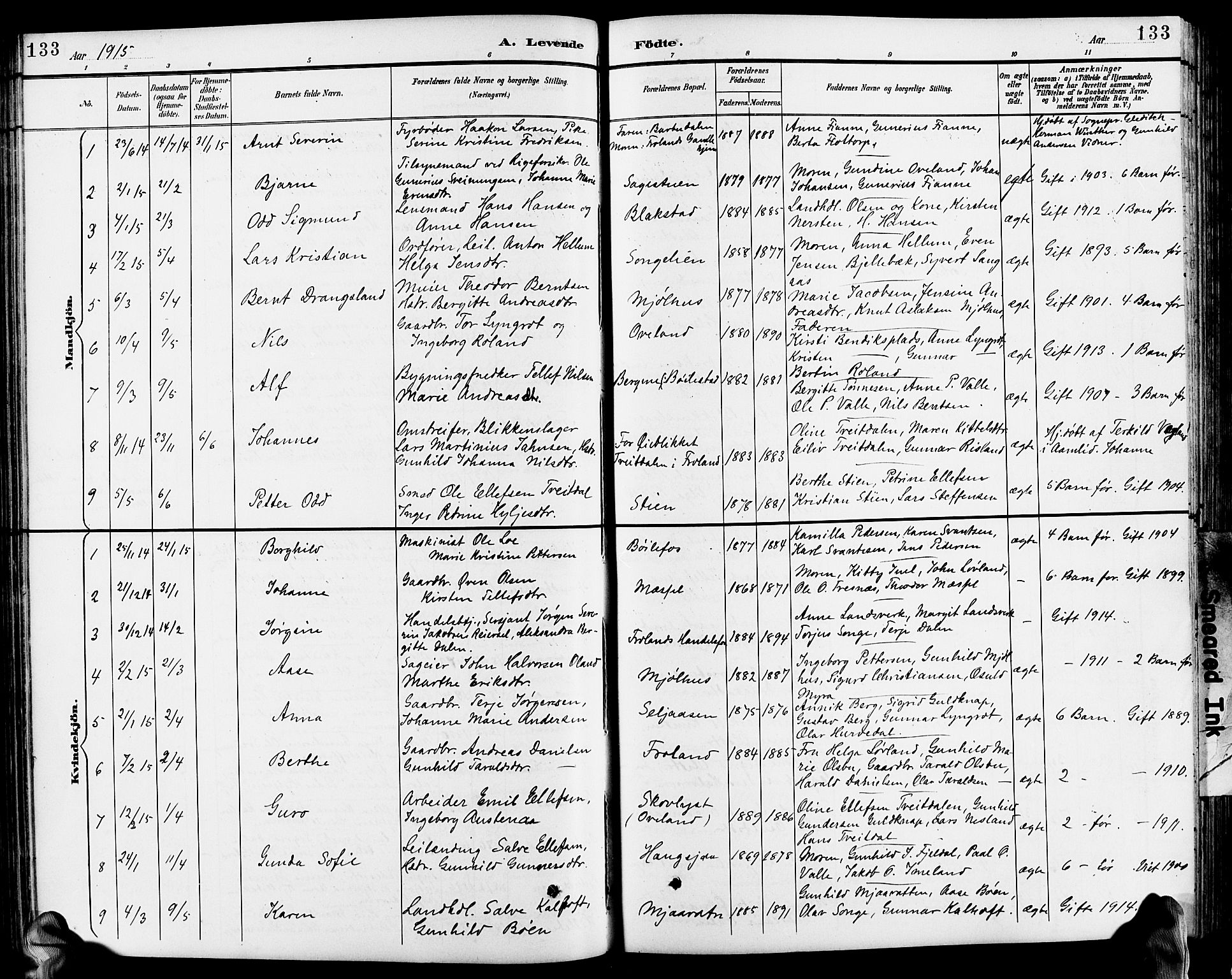 Froland sokneprestkontor, SAK/1111-0013/F/Fb/L0010: Parish register (copy) no. B 10, 1893-1920, p. 133