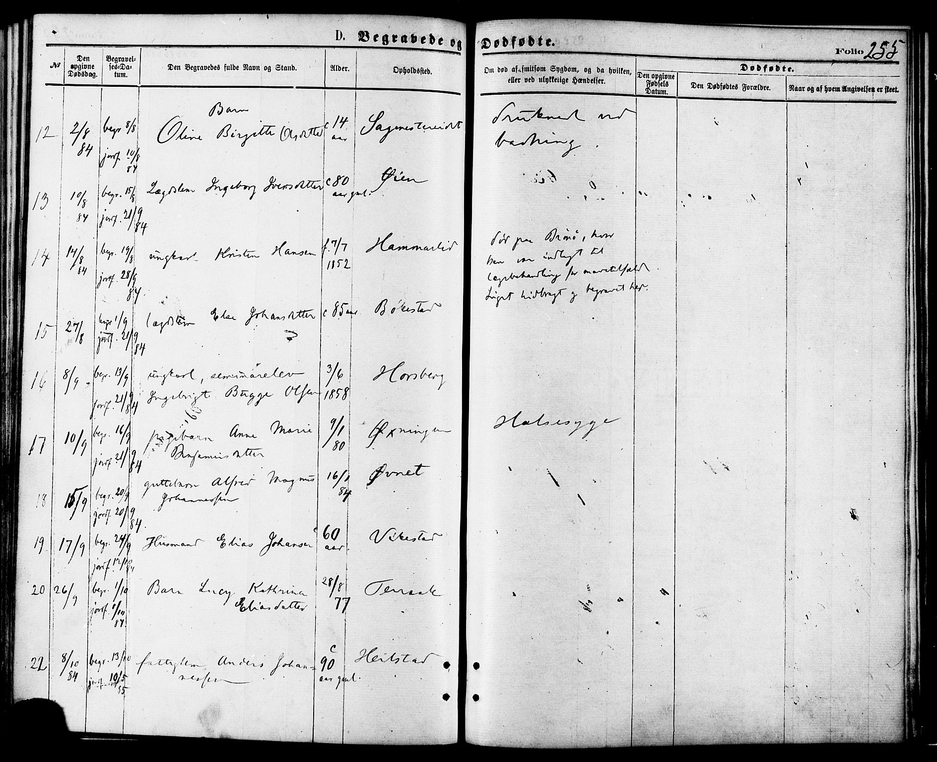 Ministerialprotokoller, klokkerbøker og fødselsregistre - Nordland, AV/SAT-A-1459/810/L0148: Parish register (official) no. 810A09 /1, 1874-1884, p. 255