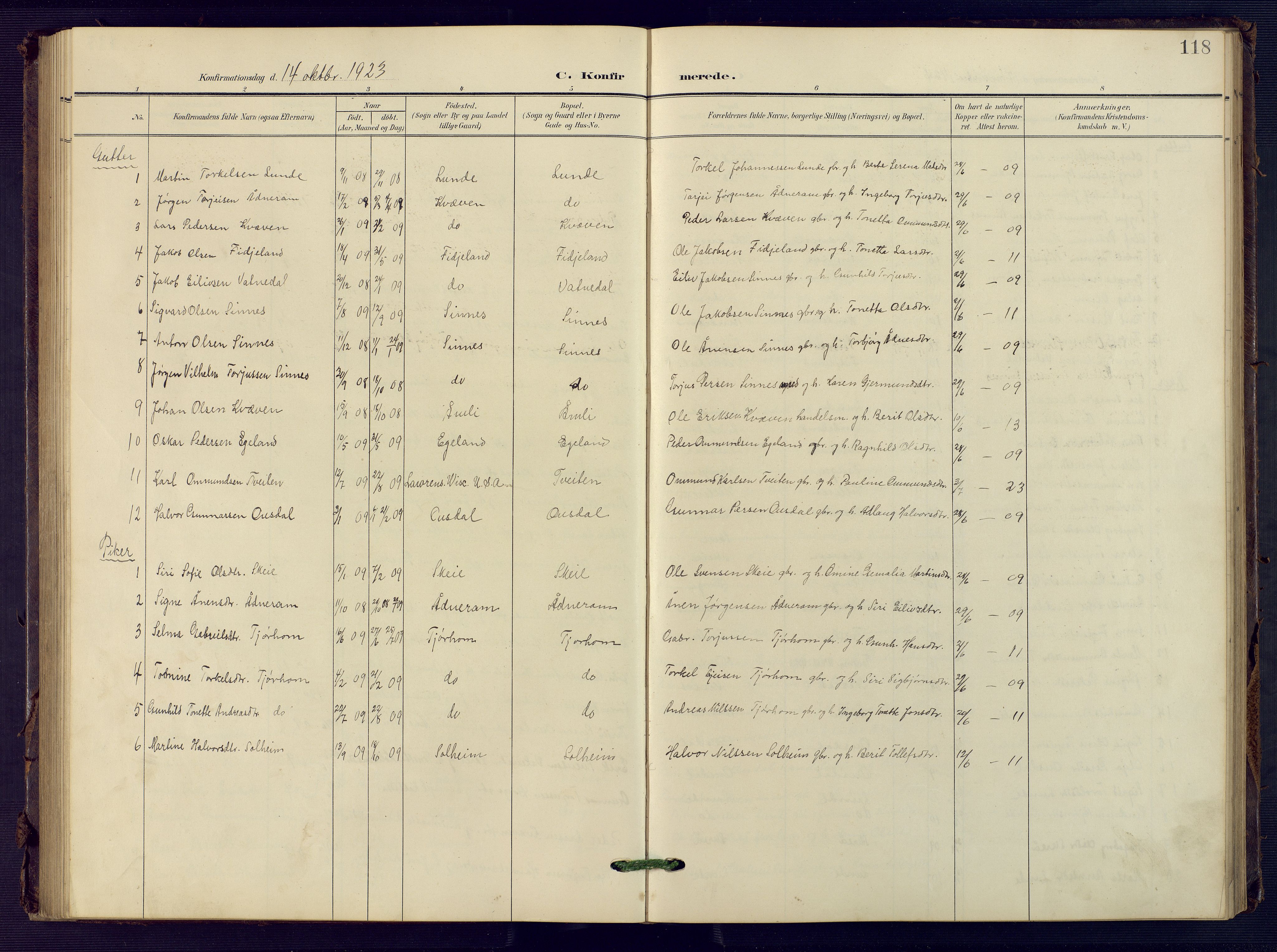 Sirdal sokneprestkontor, SAK/1111-0036/F/Fb/Fba/L0002: Parish register (copy) no. B 2, 1905-1958, p. 118