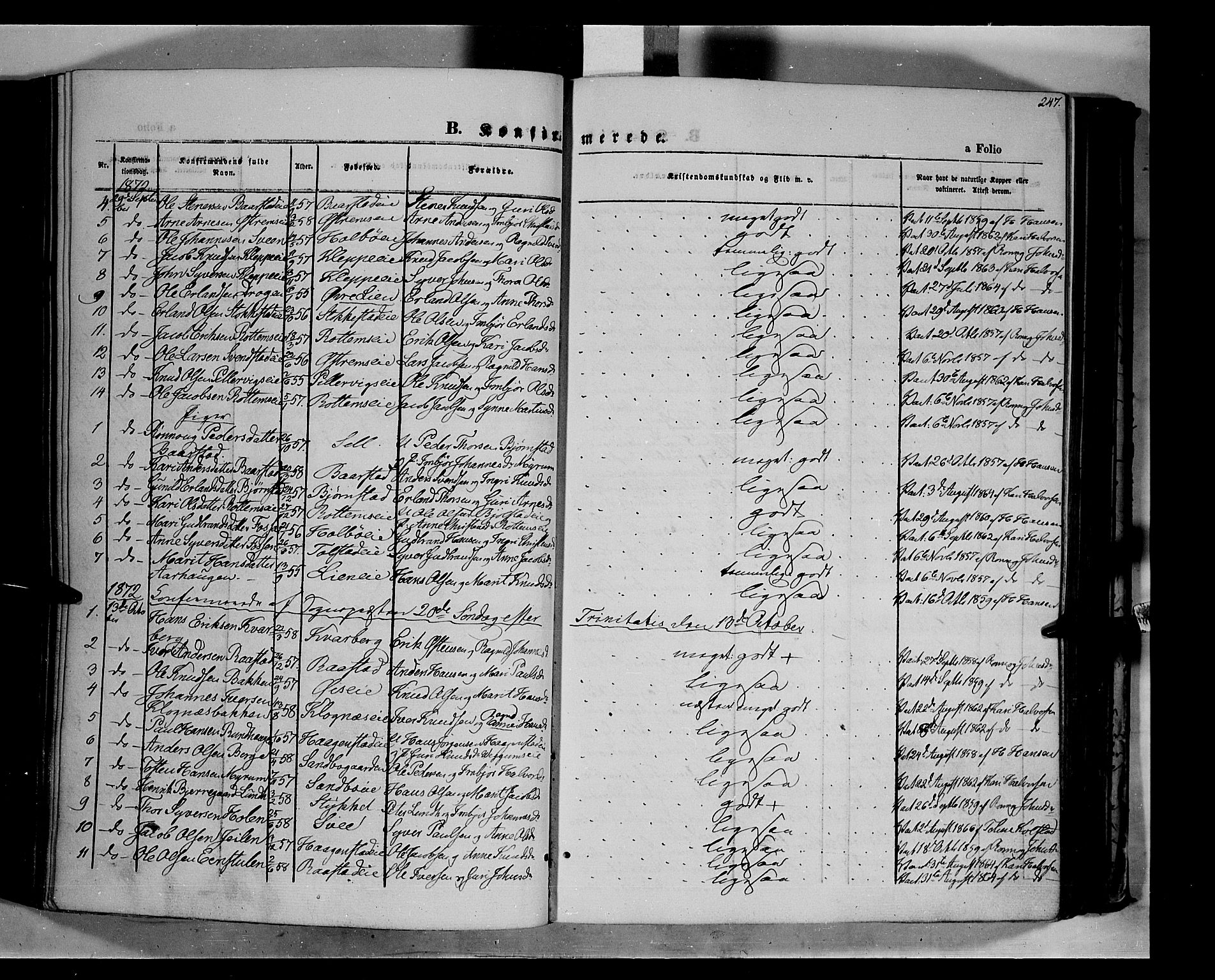 Vågå prestekontor, AV/SAH-PREST-076/H/Ha/Haa/L0006: Parish register (official) no. 6 /1, 1856-1872, p. 247