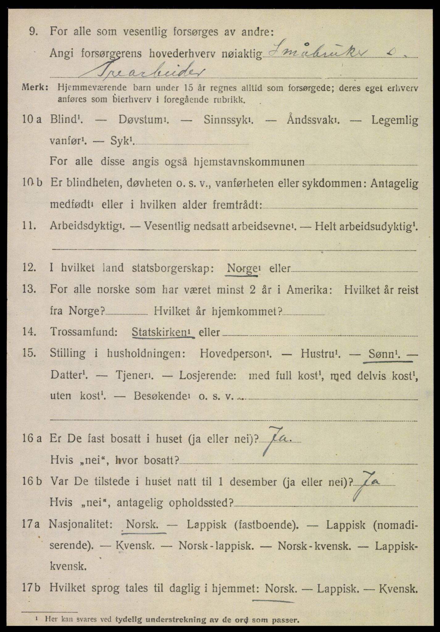 SAT, 1920 census for Lånke, 1920, p. 1031