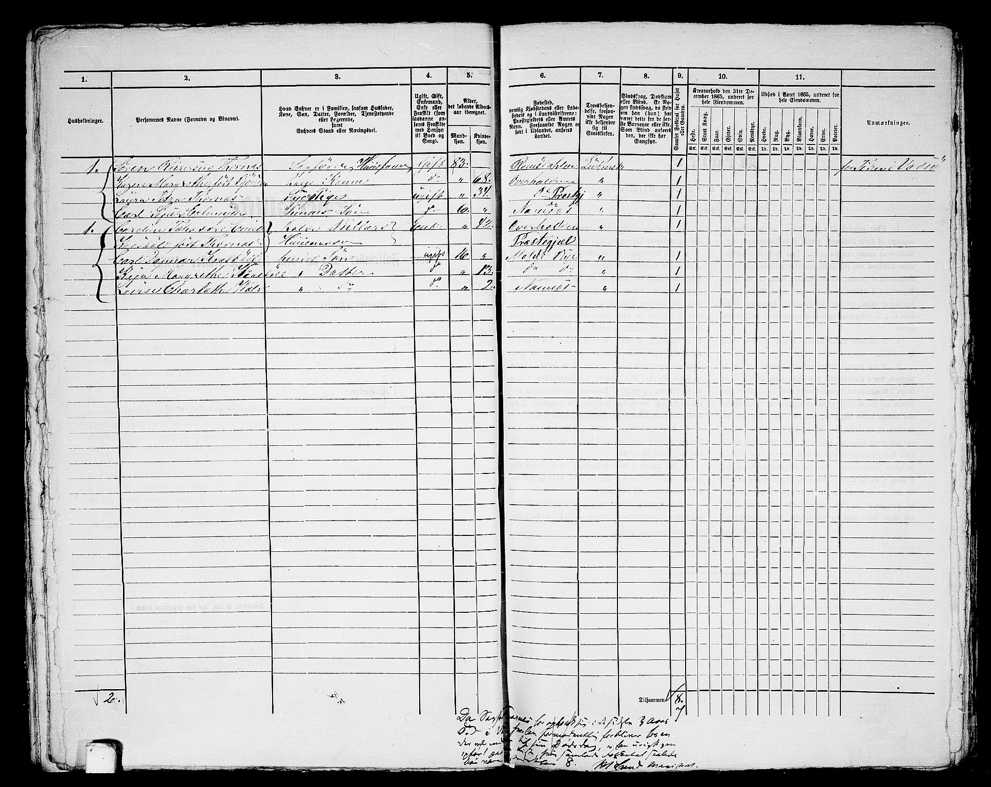 RA, 1865 census for Namsos/Namsos, 1865, p. 35