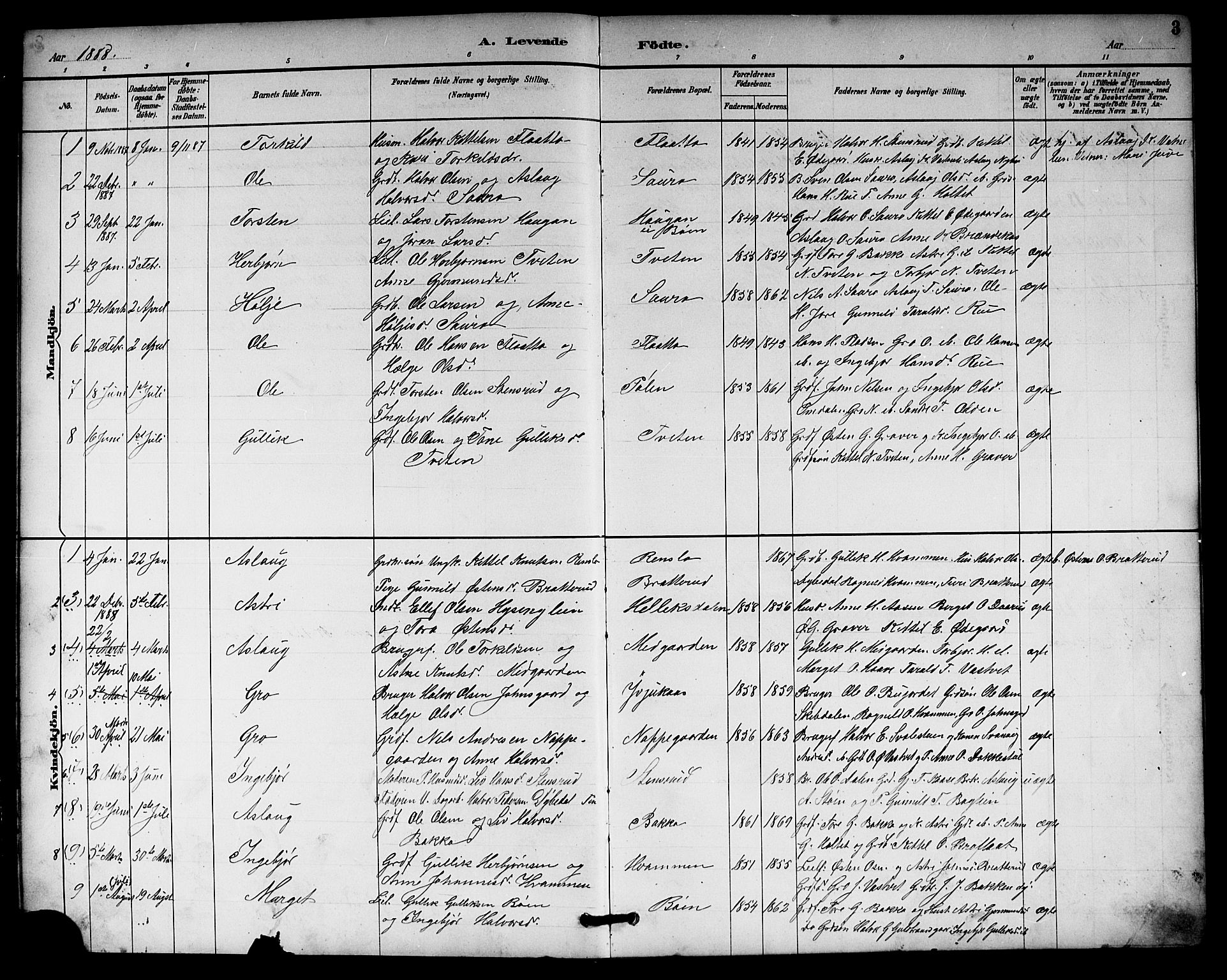 Gransherad kirkebøker, AV/SAKO-A-267/G/Gb/L0003: Parish register (copy) no. II 3, 1887-1921, p. 3