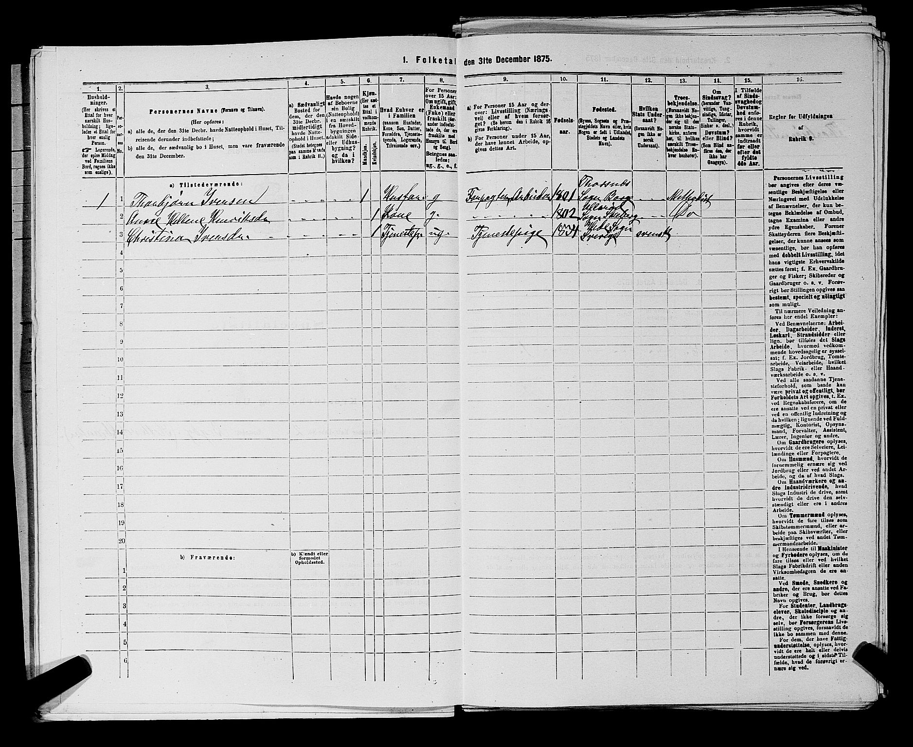RA, 1875 census for 0113P Borge, 1875, p. 70