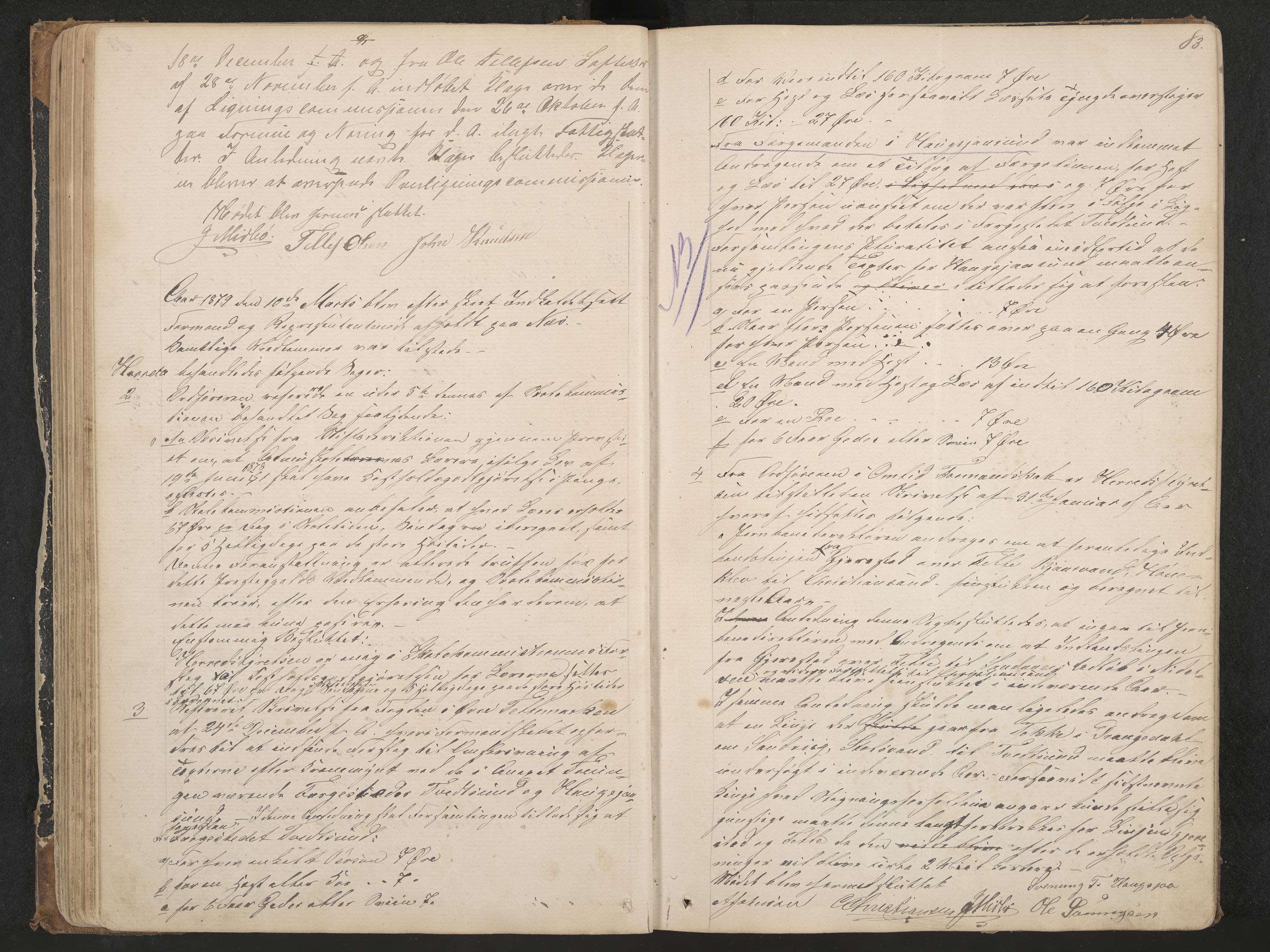 Nissedal formannskap og sentraladministrasjon, IKAK/0830021-1/A/L0002: Møtebok, 1870-1892, p. 83