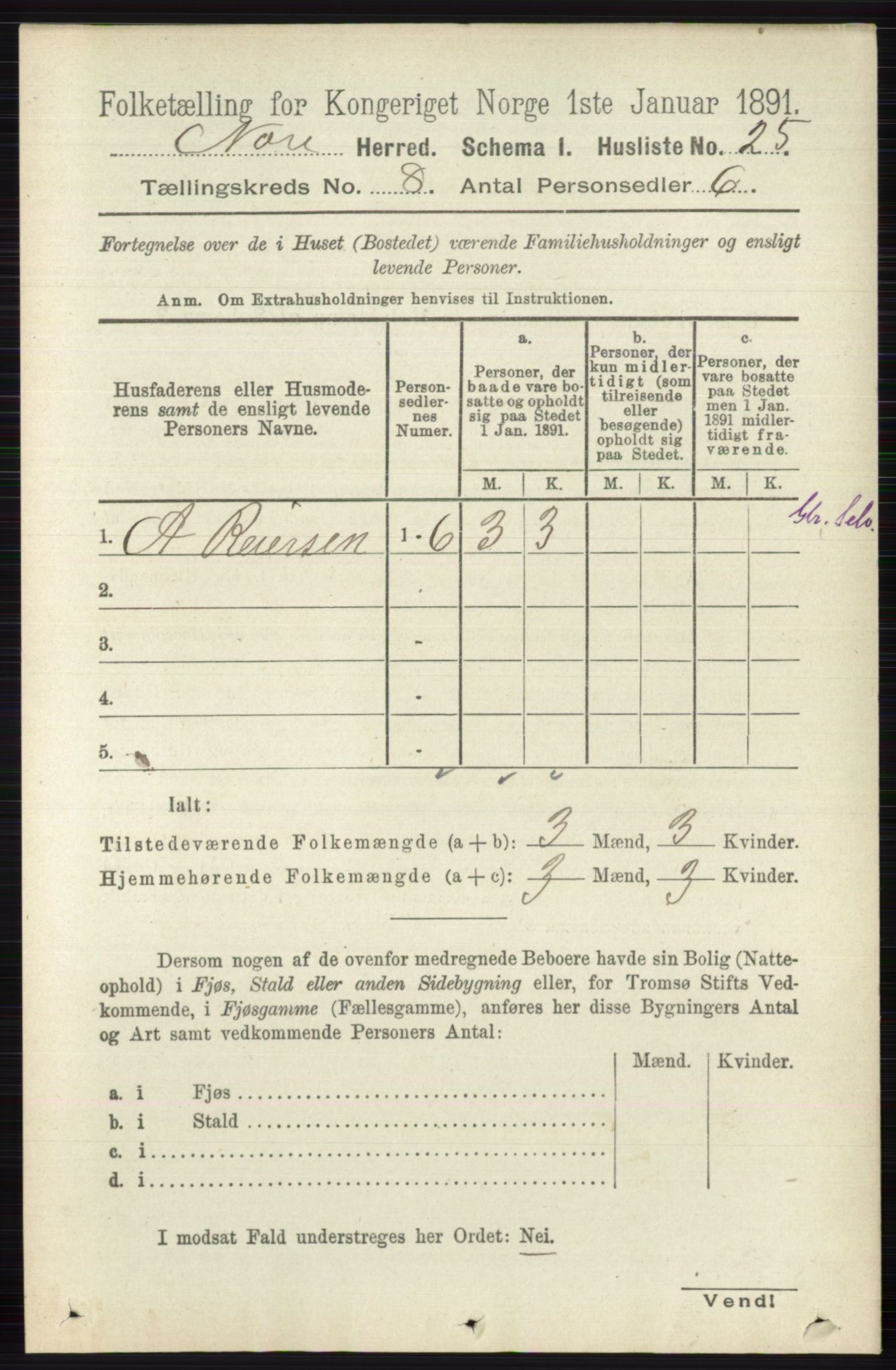 RA, 1891 census for 0633 Nore, 1891, p. 2815