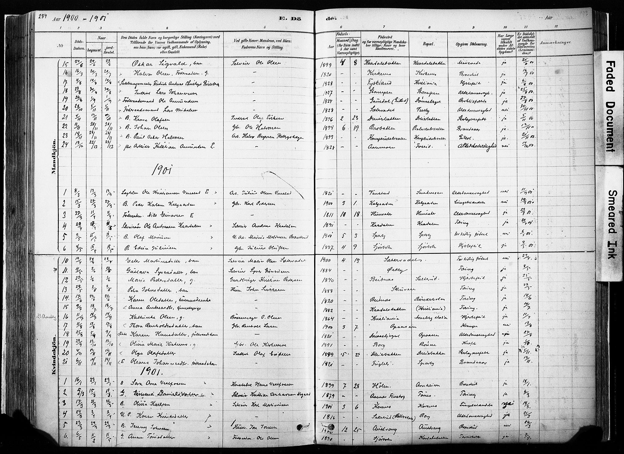 Hof prestekontor, SAH/PREST-038/H/Ha/Haa/L0010: Parish register (official) no. 10, 1878-1909, p. 284