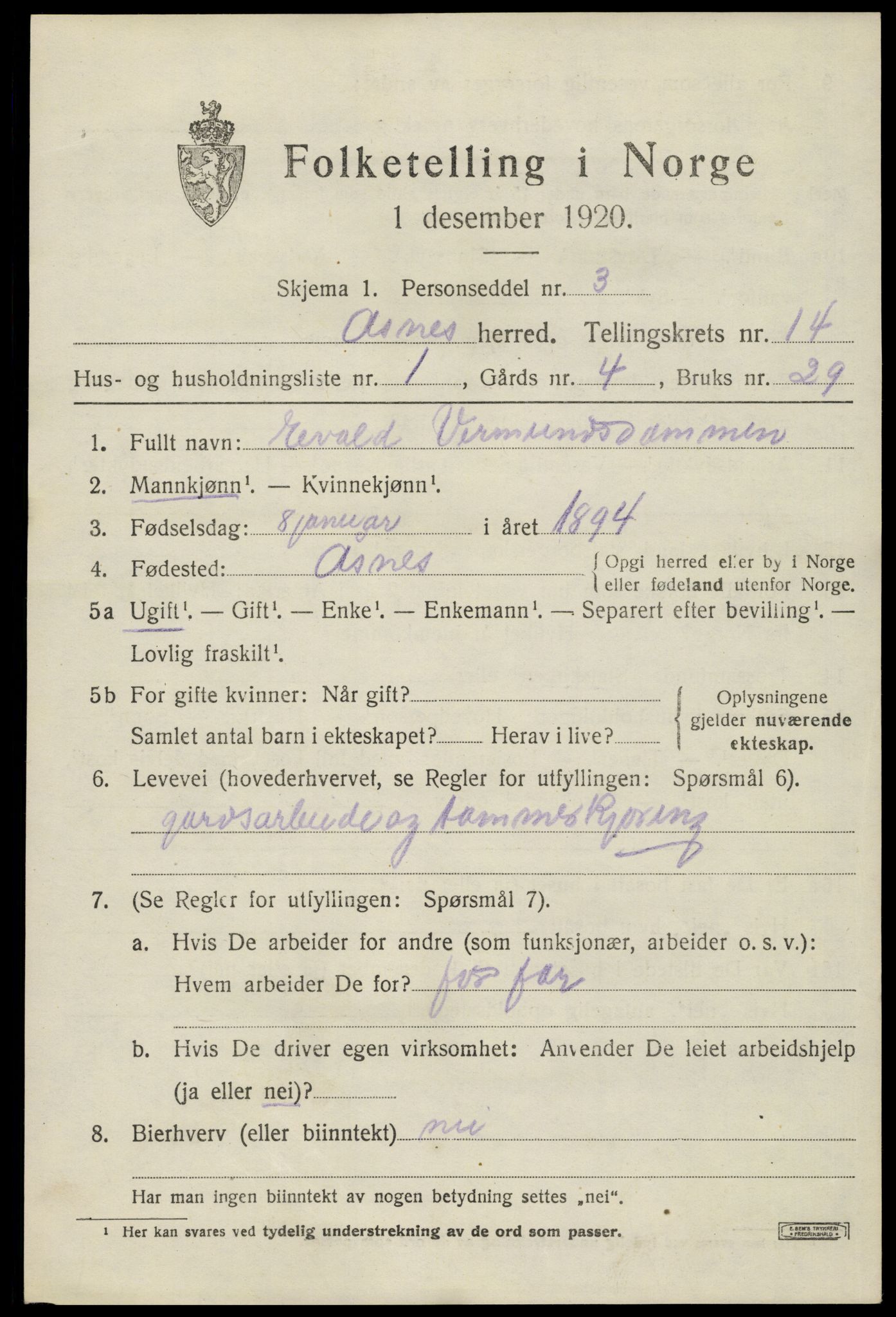 SAH, 1920 census for Åsnes, 1920, p. 13348