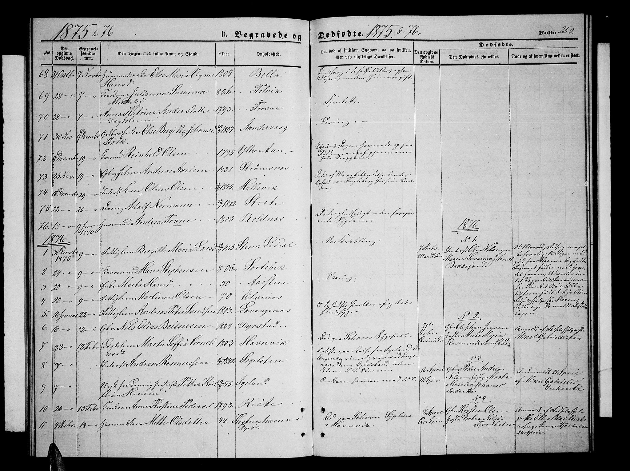 Ibestad sokneprestembete, SATØ/S-0077/H/Ha/Hab/L0006klokker: Parish register (copy) no. 6, 1871-1879, p. 250