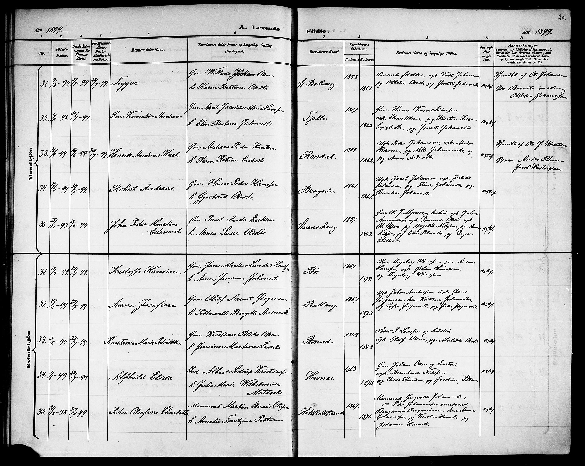 Ministerialprotokoller, klokkerbøker og fødselsregistre - Nordland, AV/SAT-A-1459/863/L0915: Parish register (copy) no. 863C05, 1898-1907, p. 20