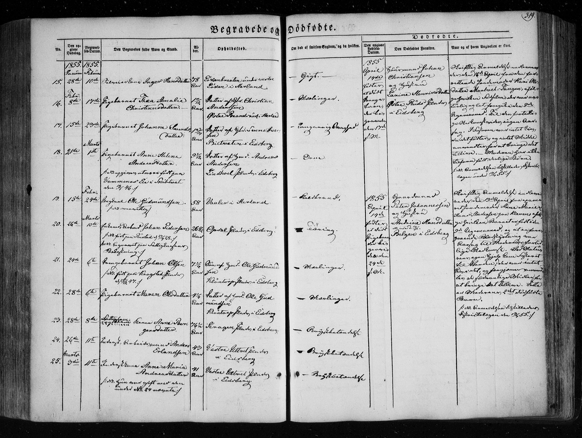 Eidsberg prestekontor Kirkebøker, SAO/A-10905/F/Fa/L0009: Parish register (official) no. I 9, 1849-1856, p. 319